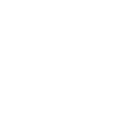 ChatGPT Logo