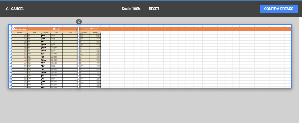 In the 'Set custom page breaks' section, drag the vertical blue line to the column where you want the page break to occur.