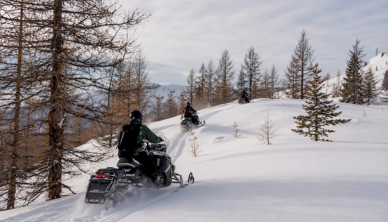 Snowmobilers riding through a snow-covered forest in the Altai