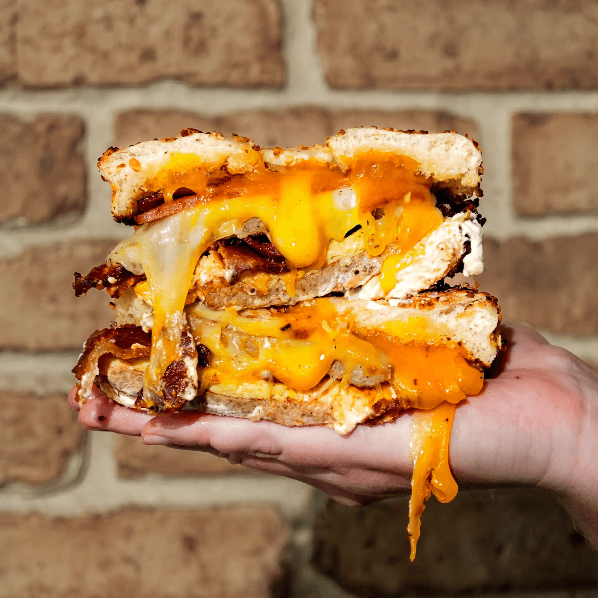 Meat & Cheese NO EGG NO EGG