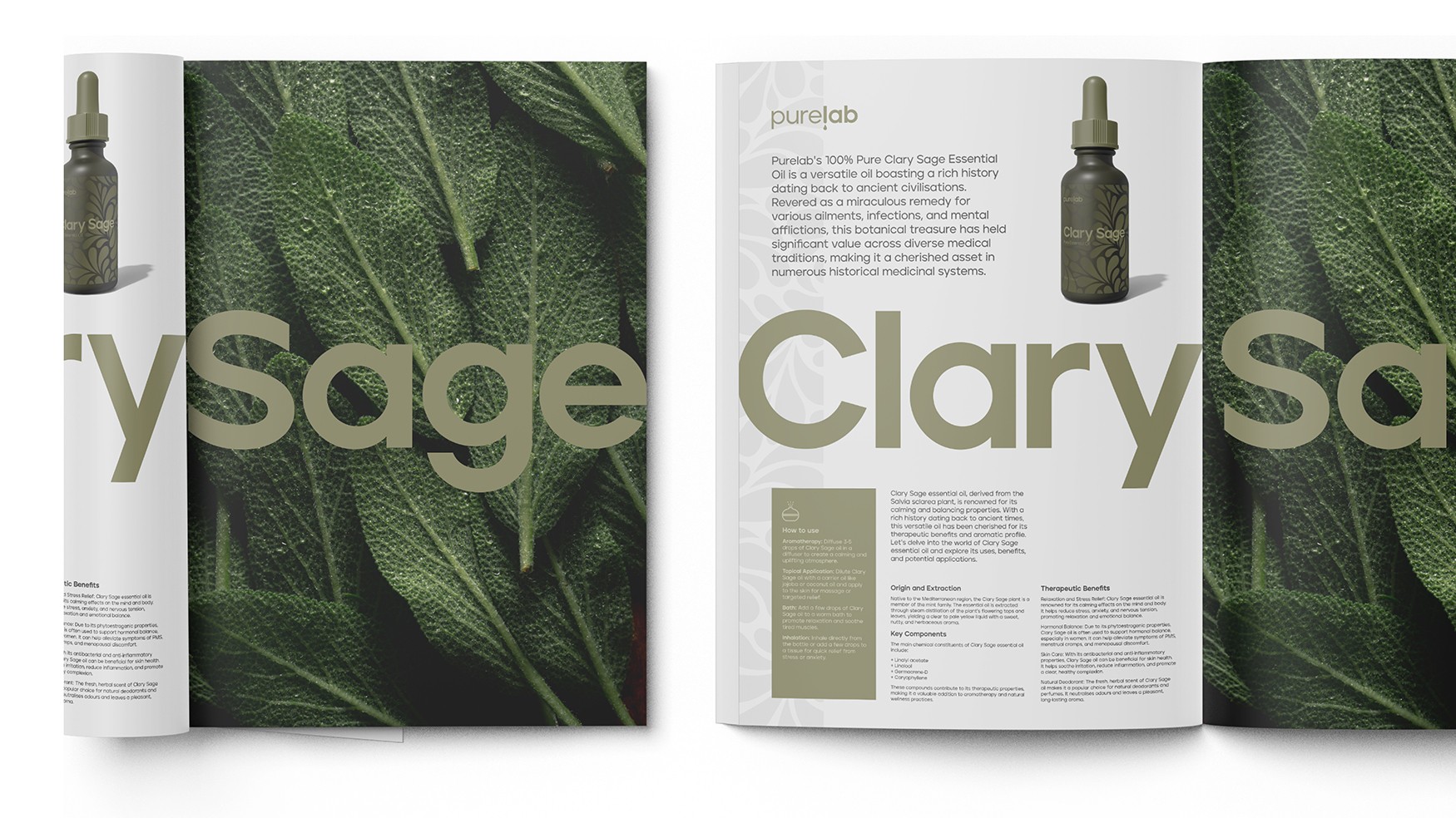 Large scale digital screen showcasing the Forever Living FGR25 Paris event logotype in script font.