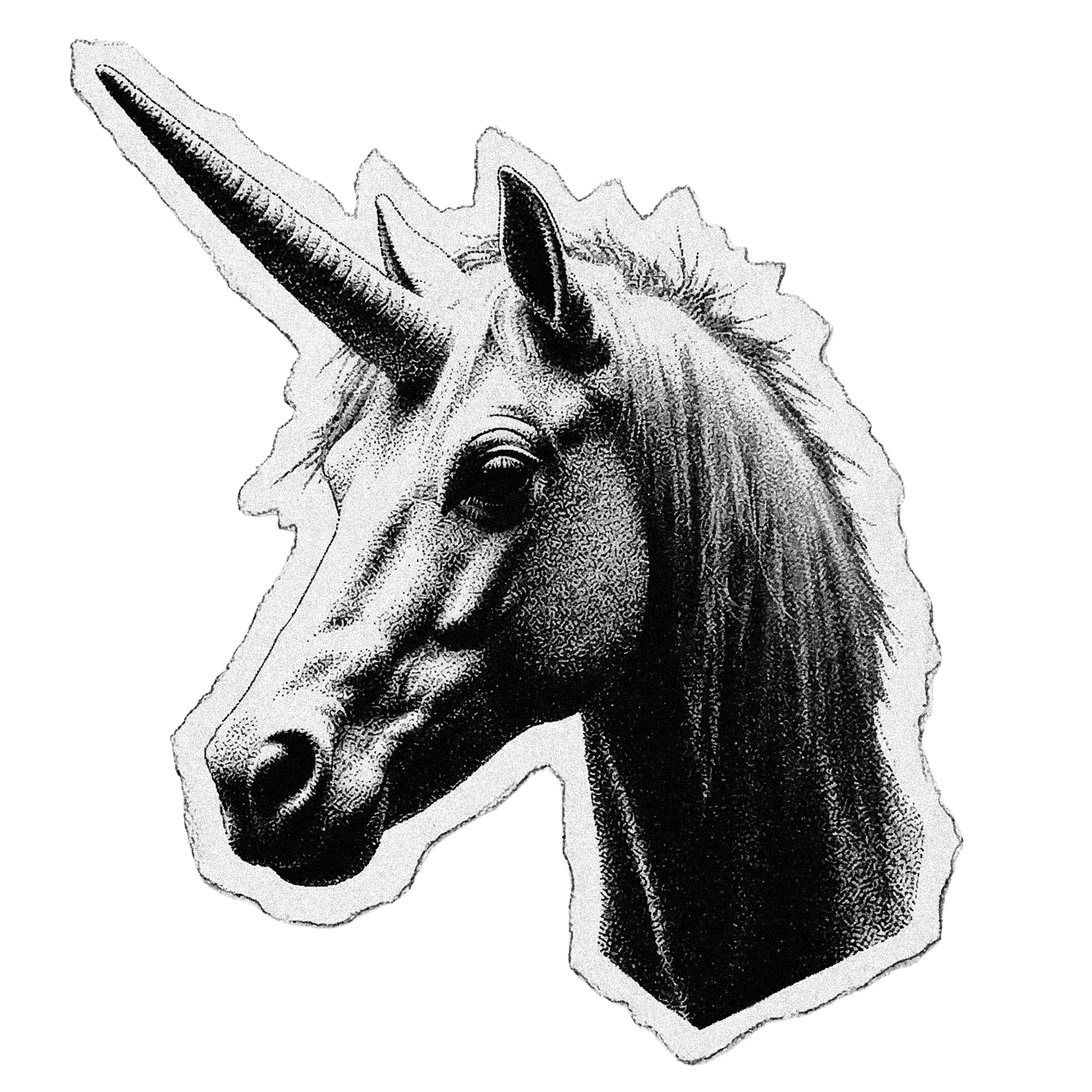 Sport car from the top