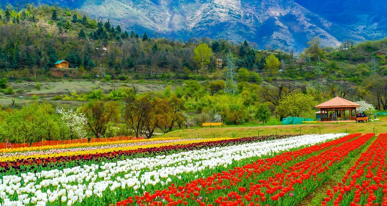 Kashmir Nature & Heritage Tour