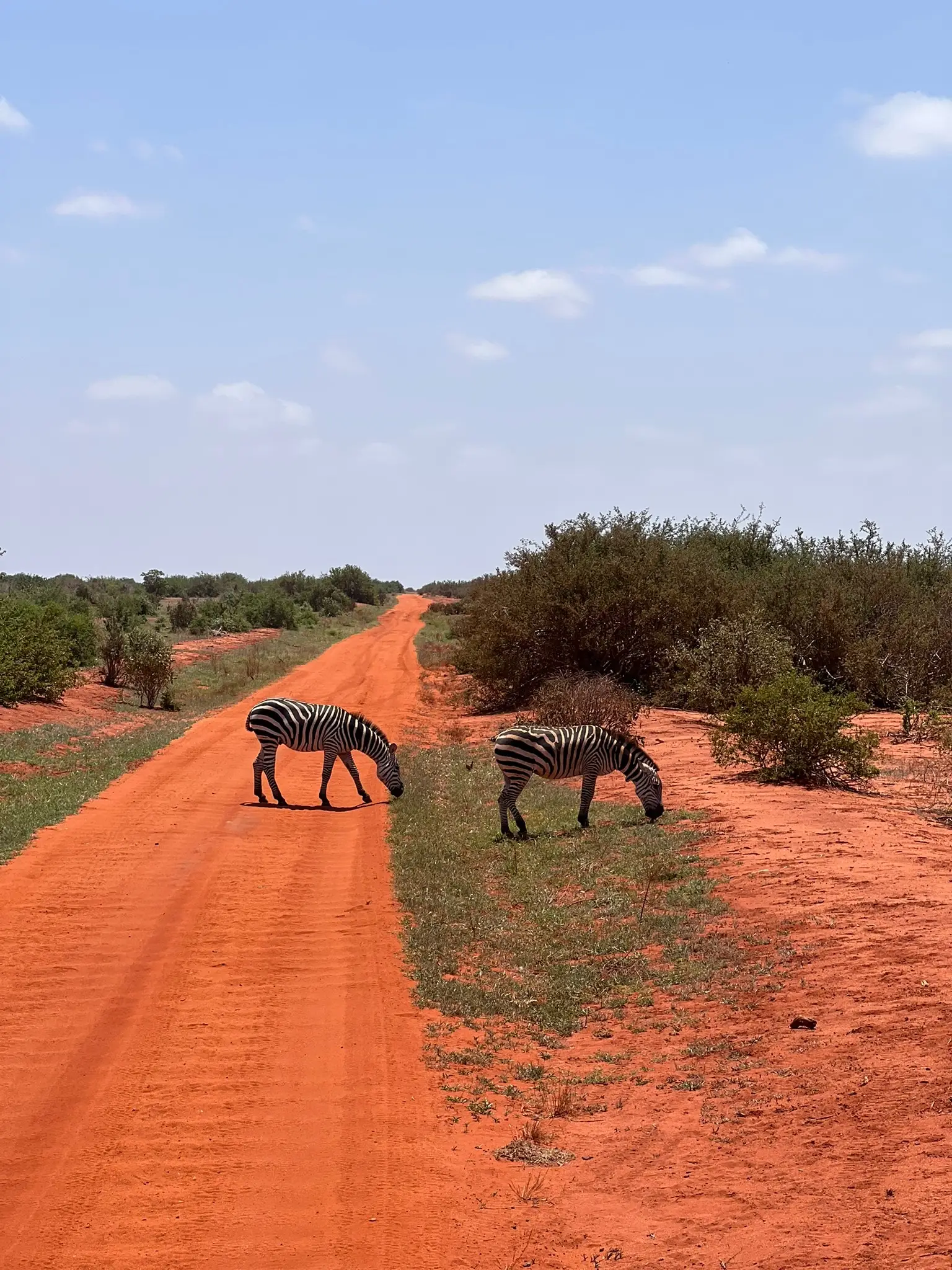 Usahili Tour in Kenya