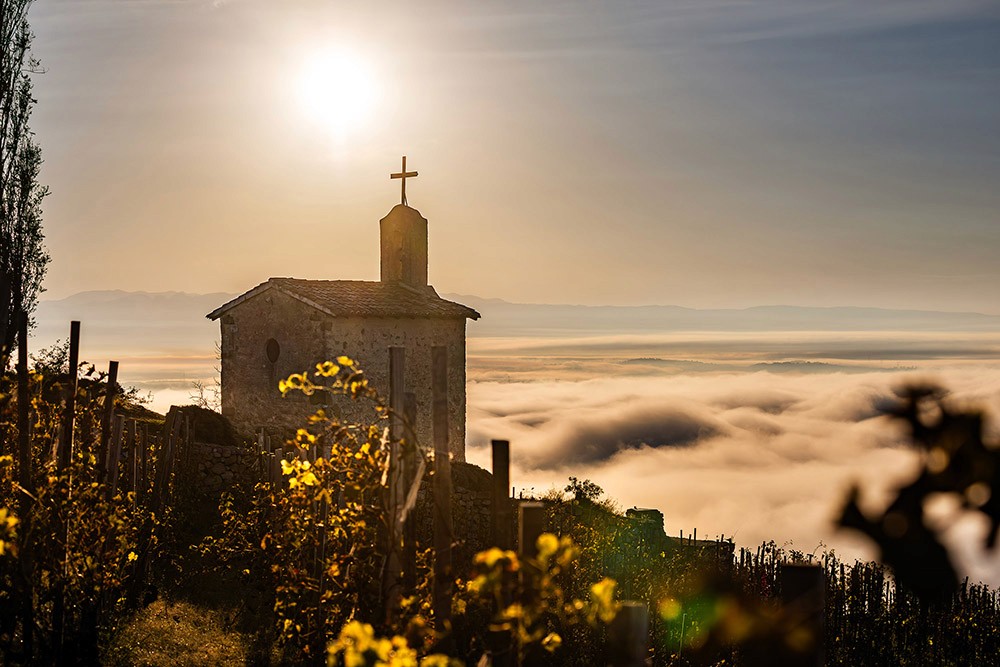 Hermitage La Chapelle (Paul Jaboulet Aîné) : la puissance du Rhône