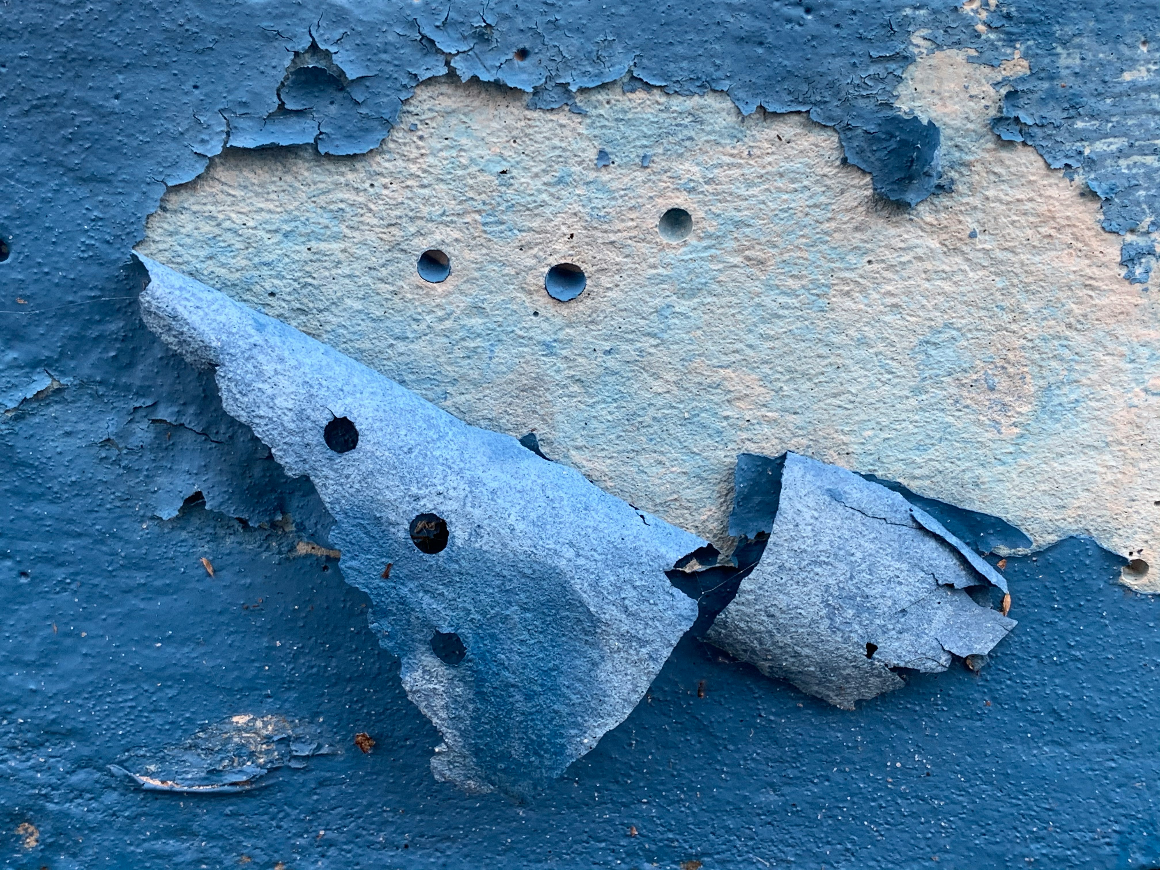 Mold Testing
