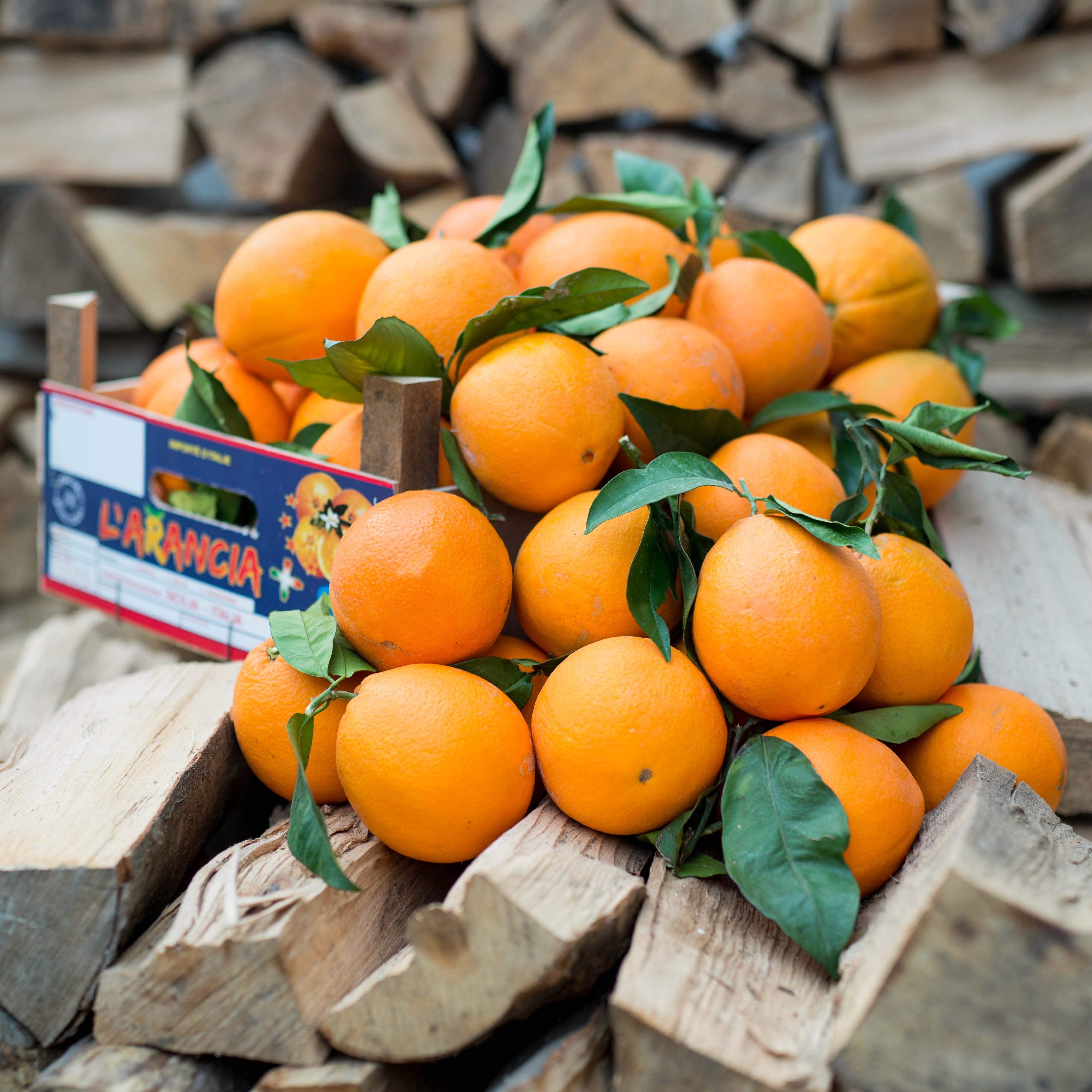 yellow fruit on green tree during daytime