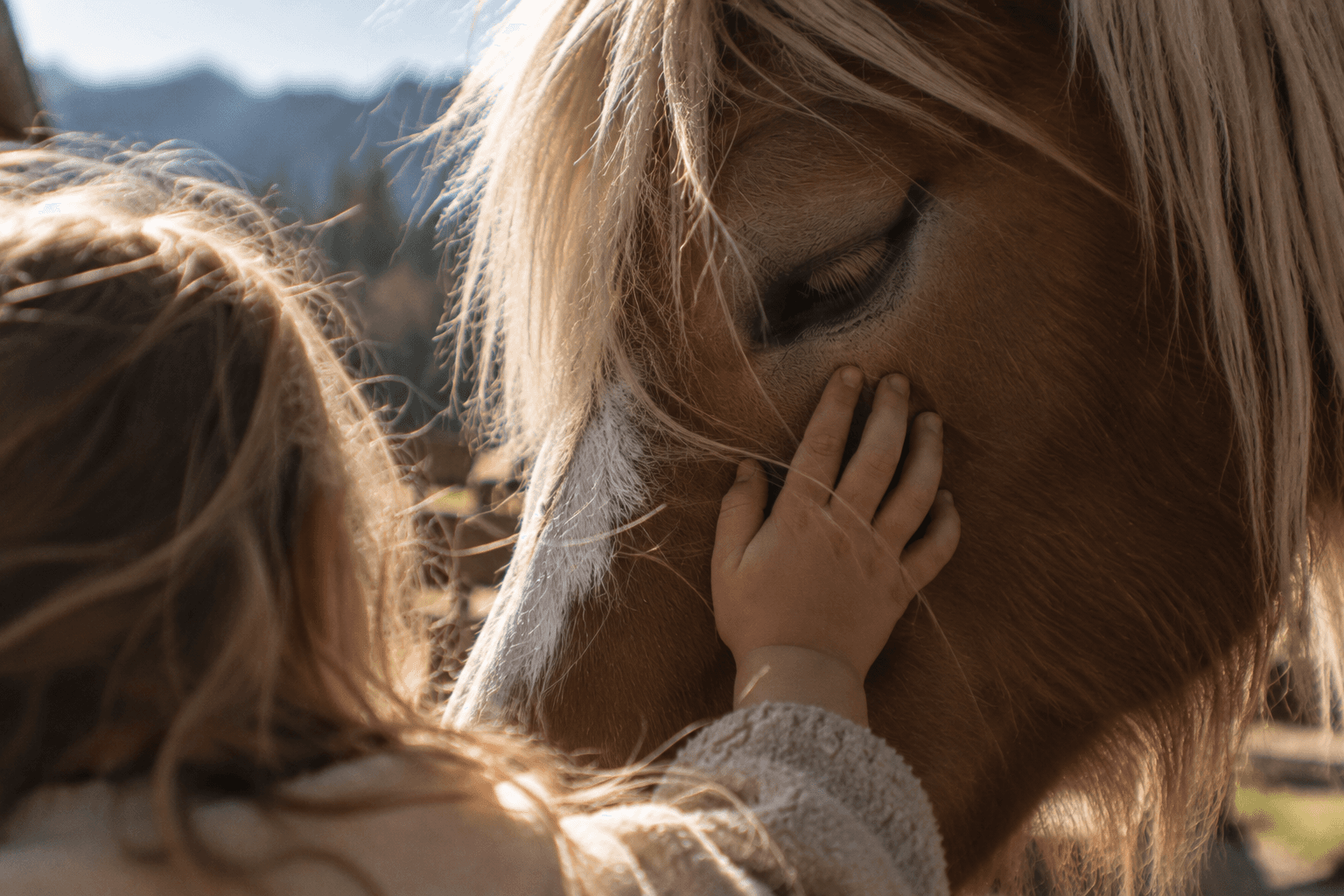 Person mit Pferd in einer natürlichen Berglandschaft