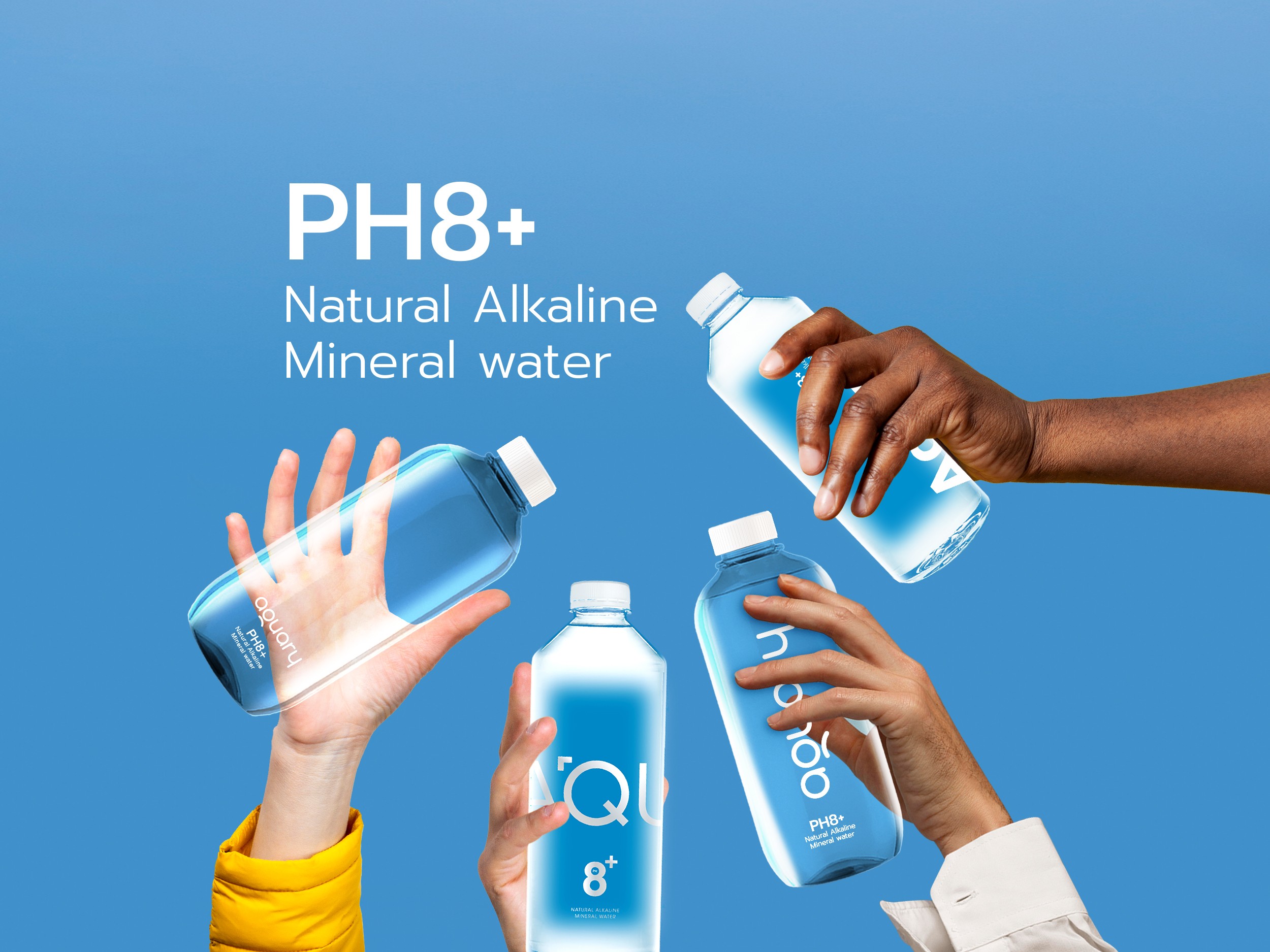 Aquary 01