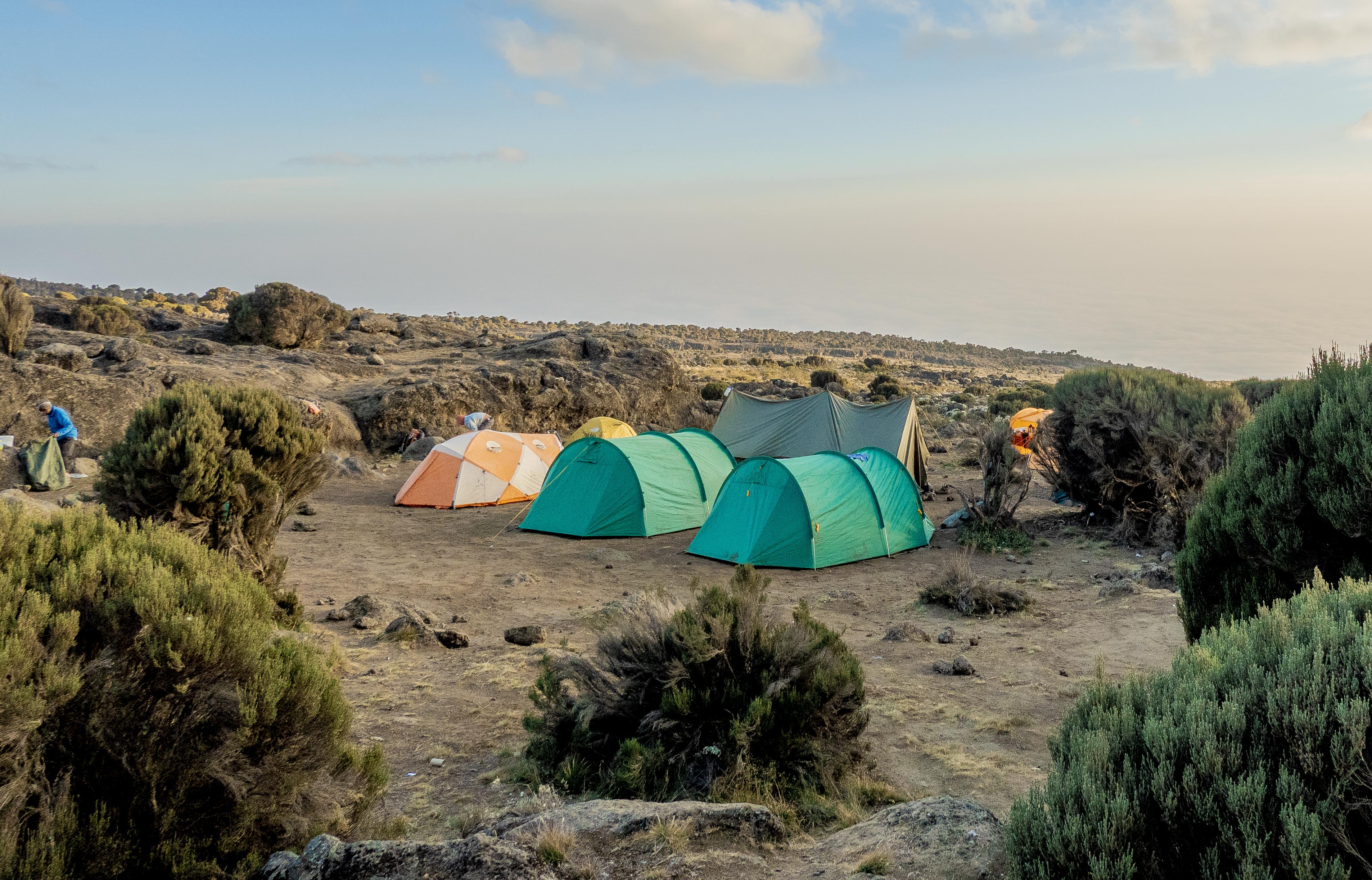 Landscapes of Shira on Kilimanjaro