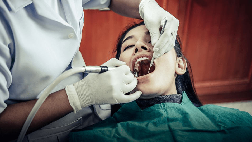 general dentistry experts