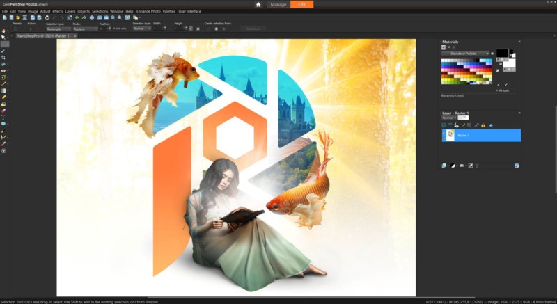 Corel PaintShop Pro photo editing software