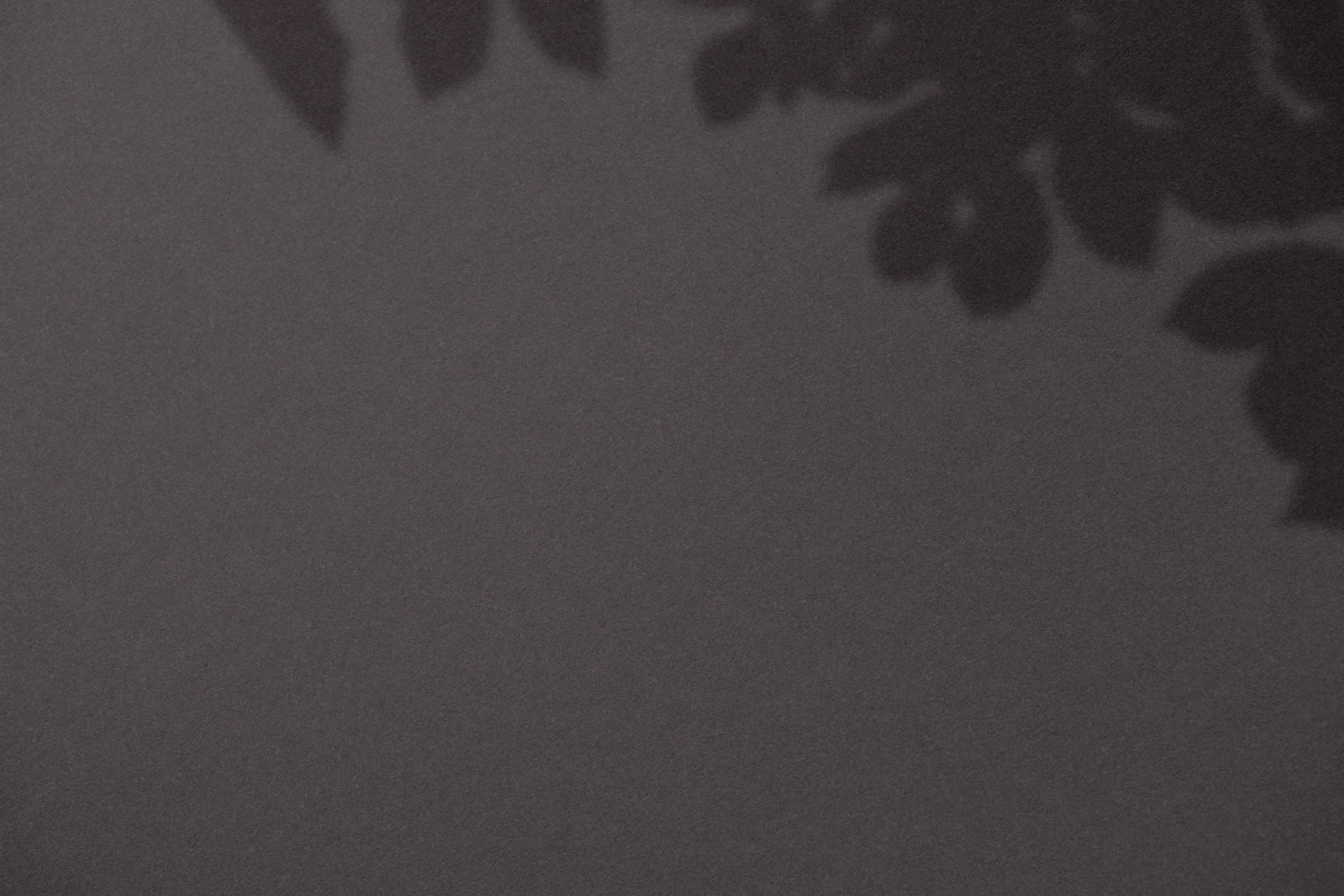 Fondo de pared con sombra de hojas