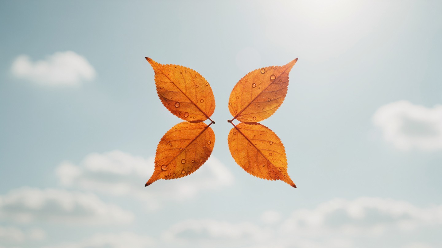 Four orange leaves, each with dew droplets, are symmetrically arranged in a star shape against a soft blue sky with fluffy clouds and warm sunlight.