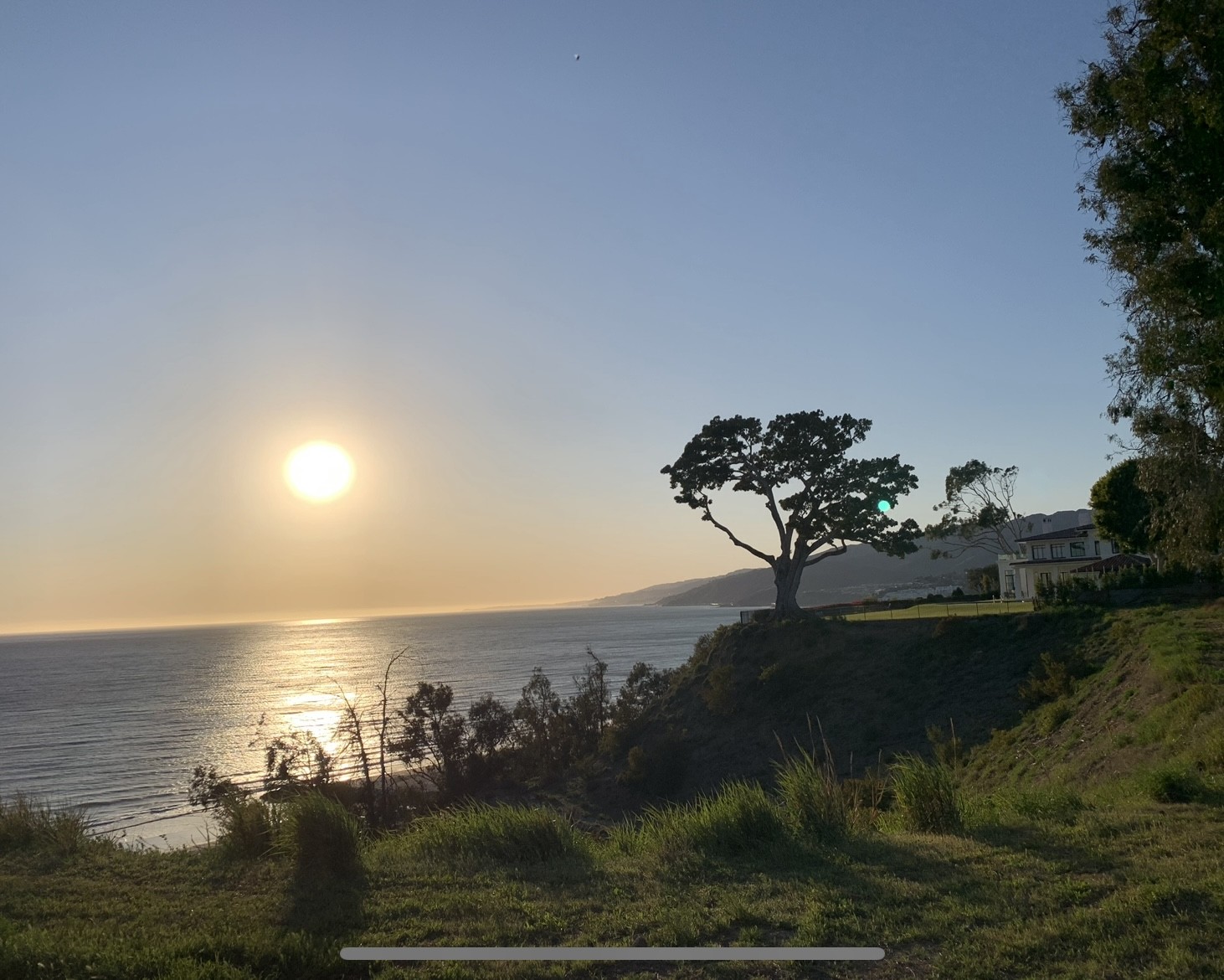 Ocampo Capital Landscape