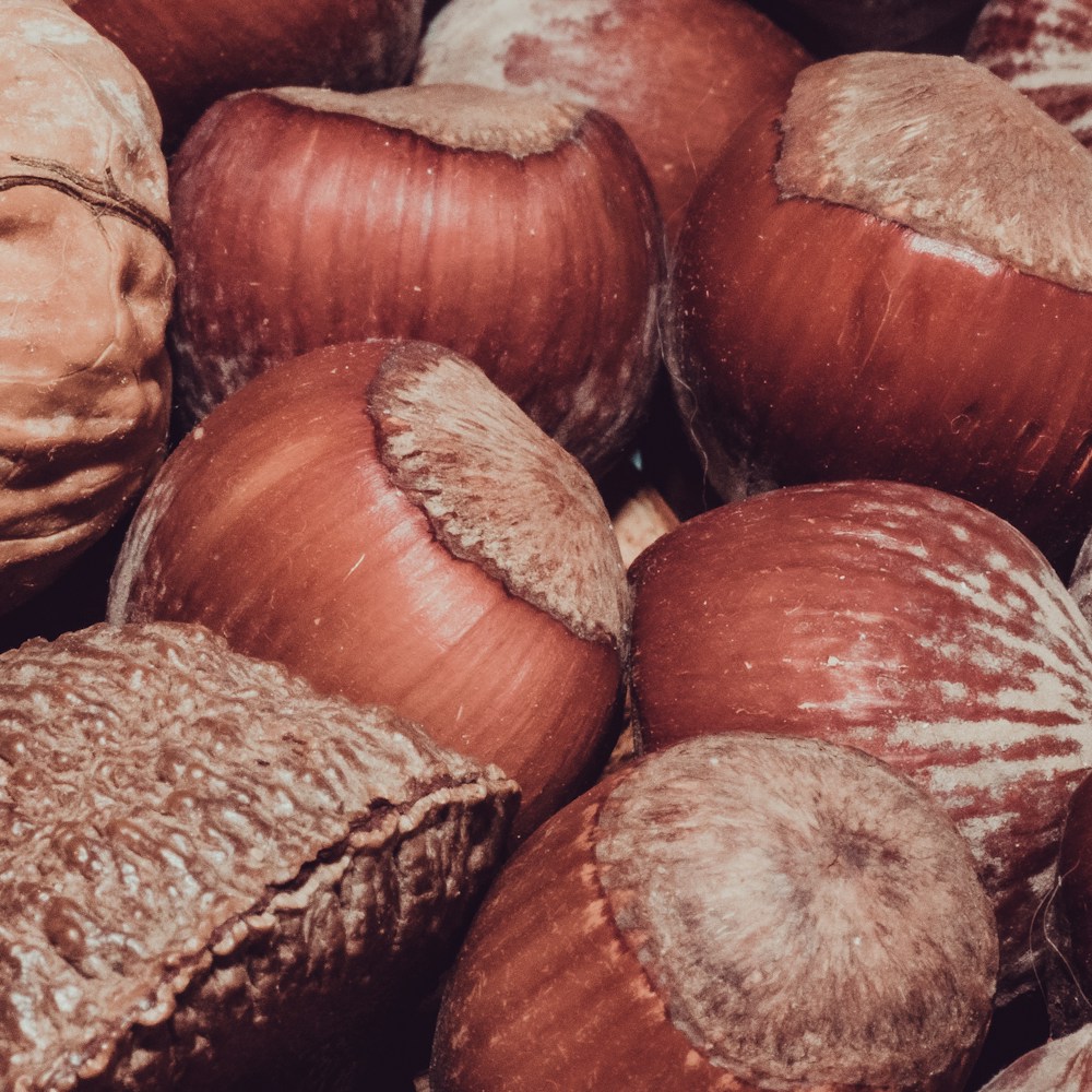 Brazil nuts in shell, a natural selenium source