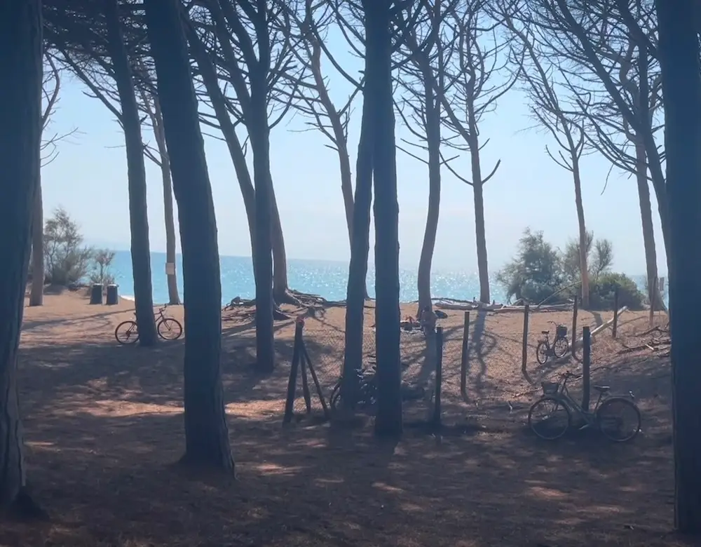 Glass of white wine held on a table