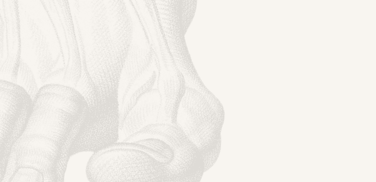 Pathologies de l'avant pied