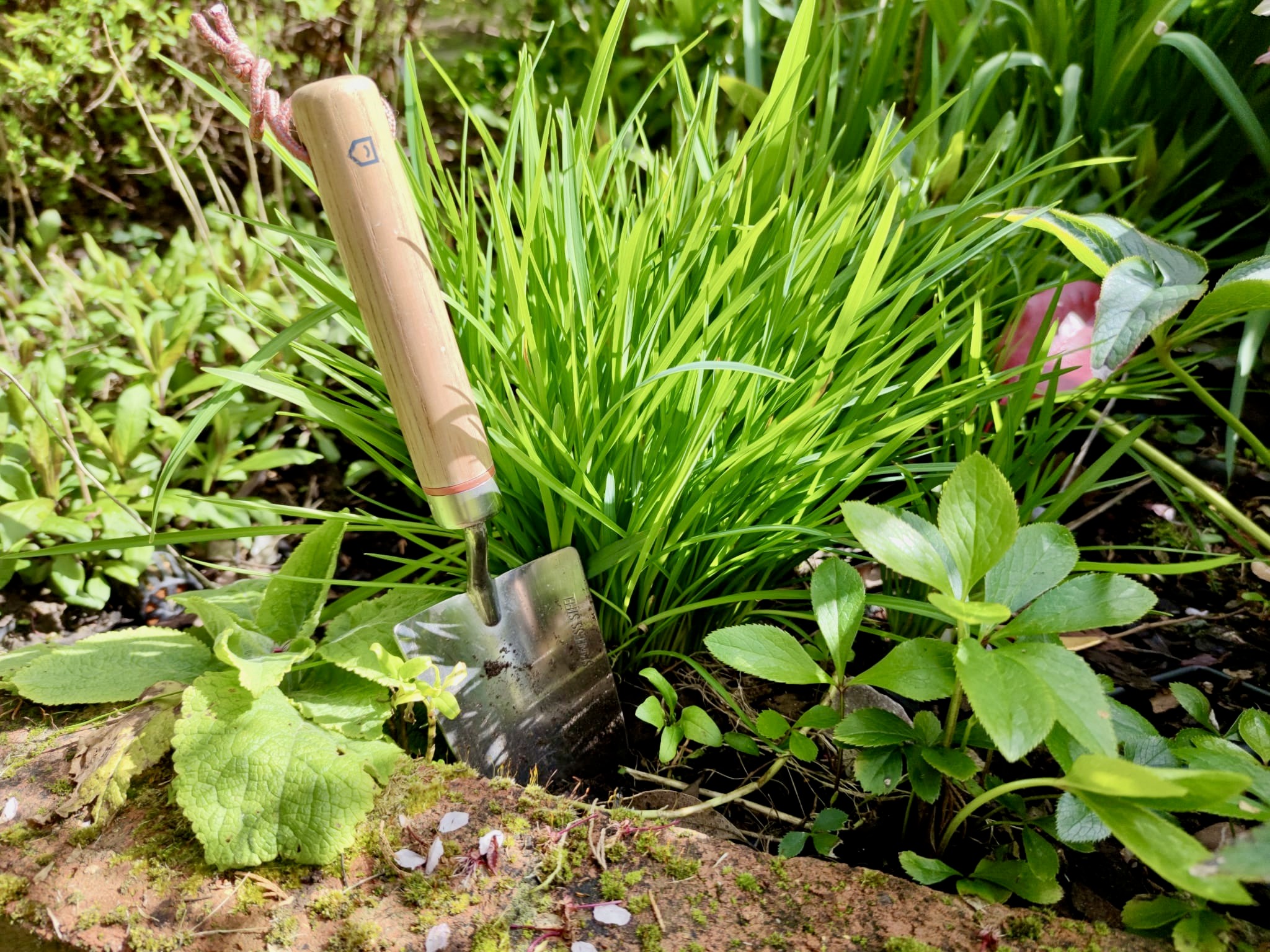 Gardening with out the aches image showing trowel in garden