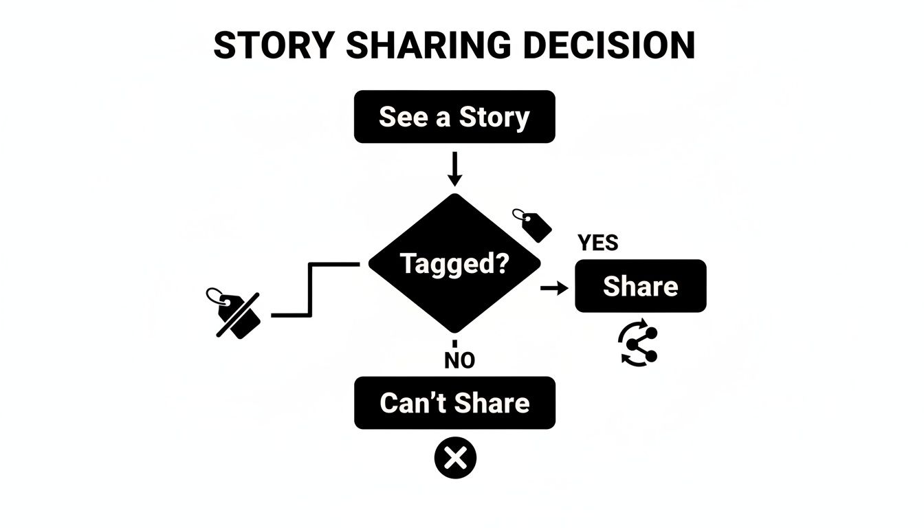 A flowchart detailing the story sharing decision process: 'See a Story' leads to 'Tagged?' decision. If 'YES', then 'Share'. If 'NO', then 'Can't Share'.