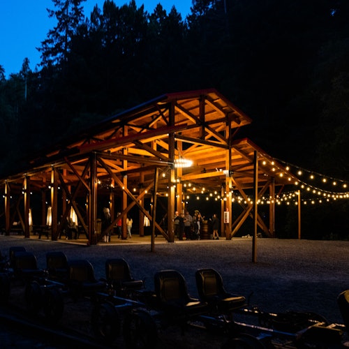 傍晚时分,户外木制亭子点缀着串灯,下方聚集着几个人。背景是森林景观。