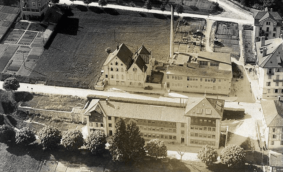 Collection of luxury sports cars displayed in modern rental showroom