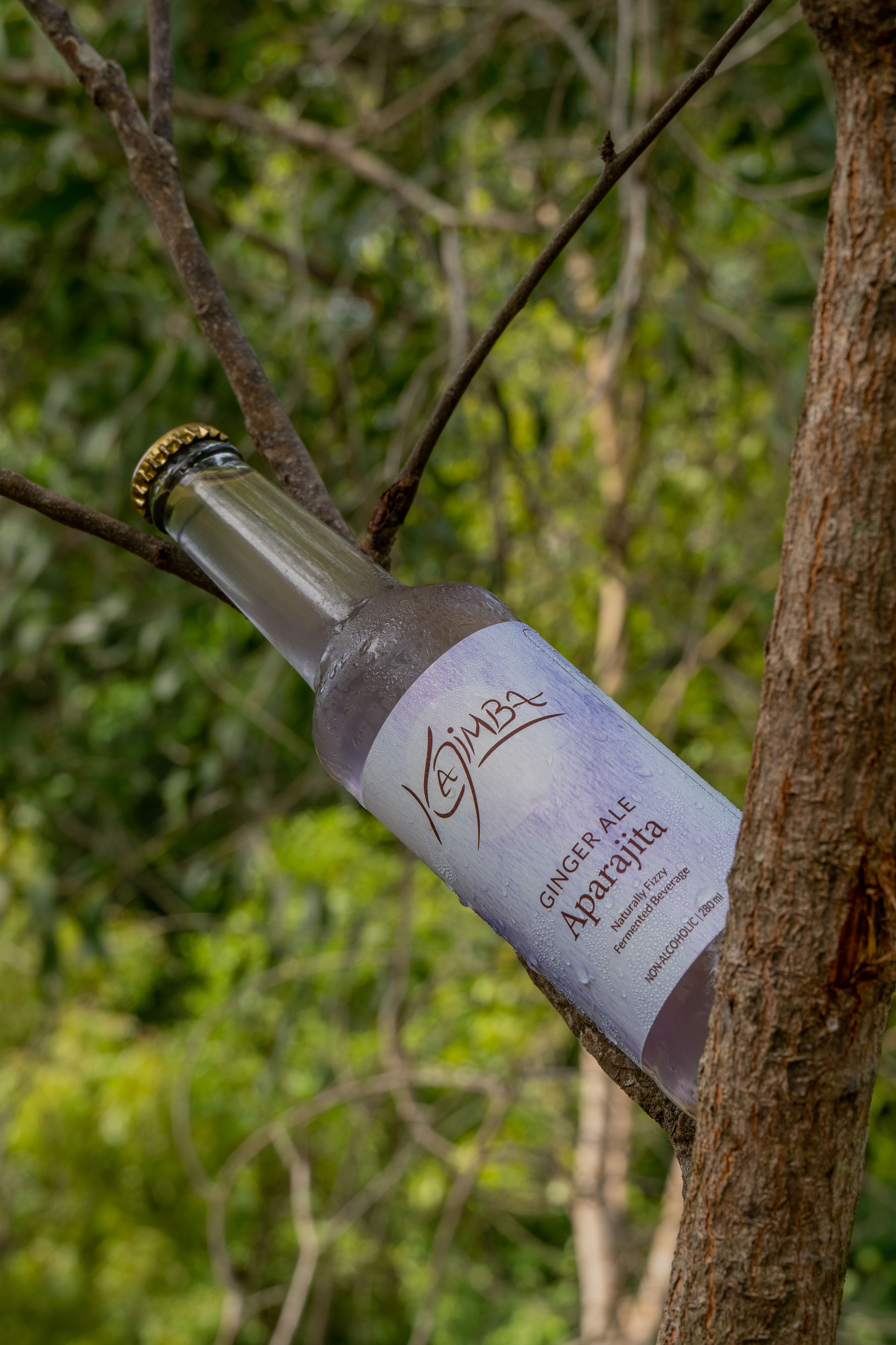 Aparajita Kajimba bottle placed on a tree branch and surrounded by nature.