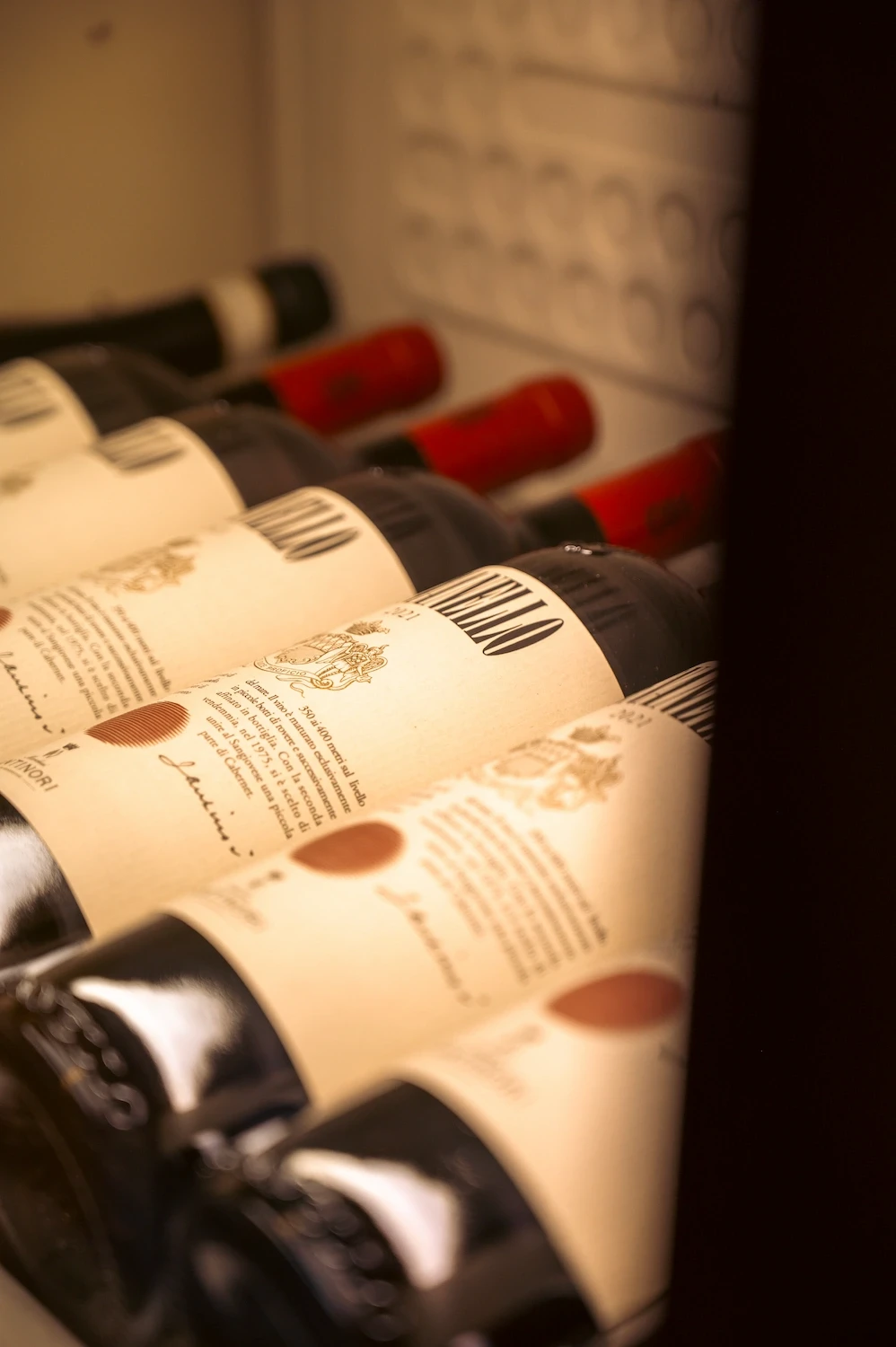 Bottiglie di vino in primo piano