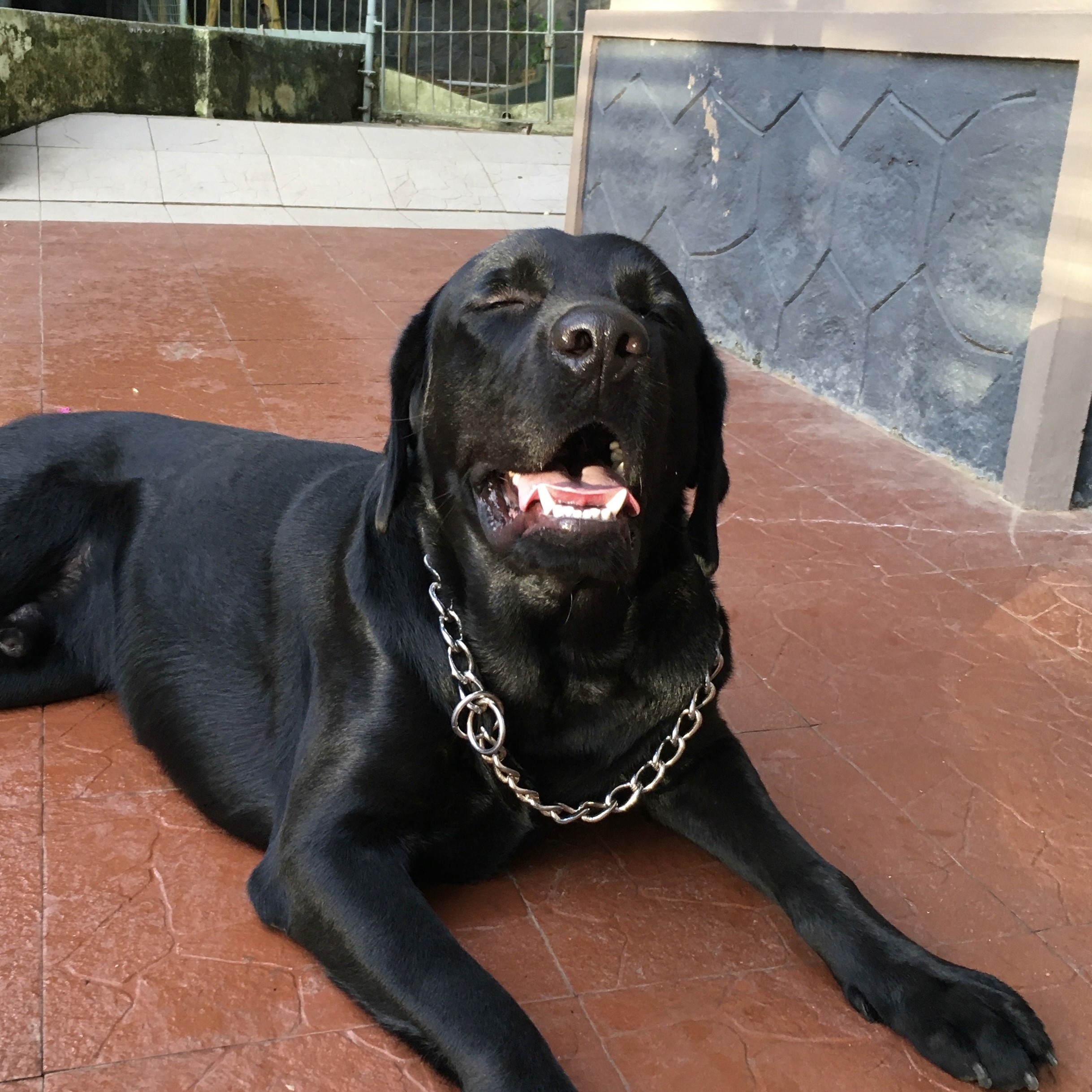 Photo of Happy