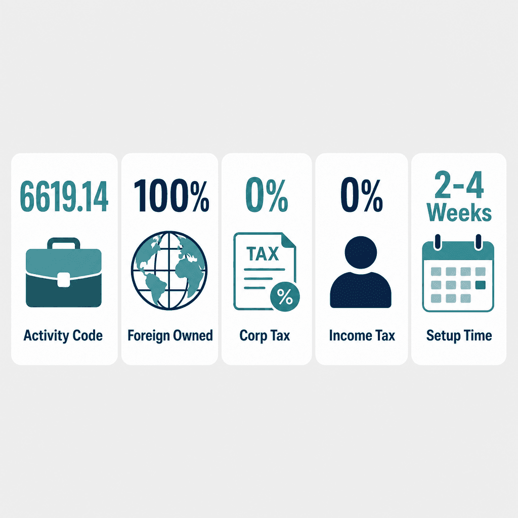 Infographic: Financial Consultancy Business License in Dubai: Cost and Requirements