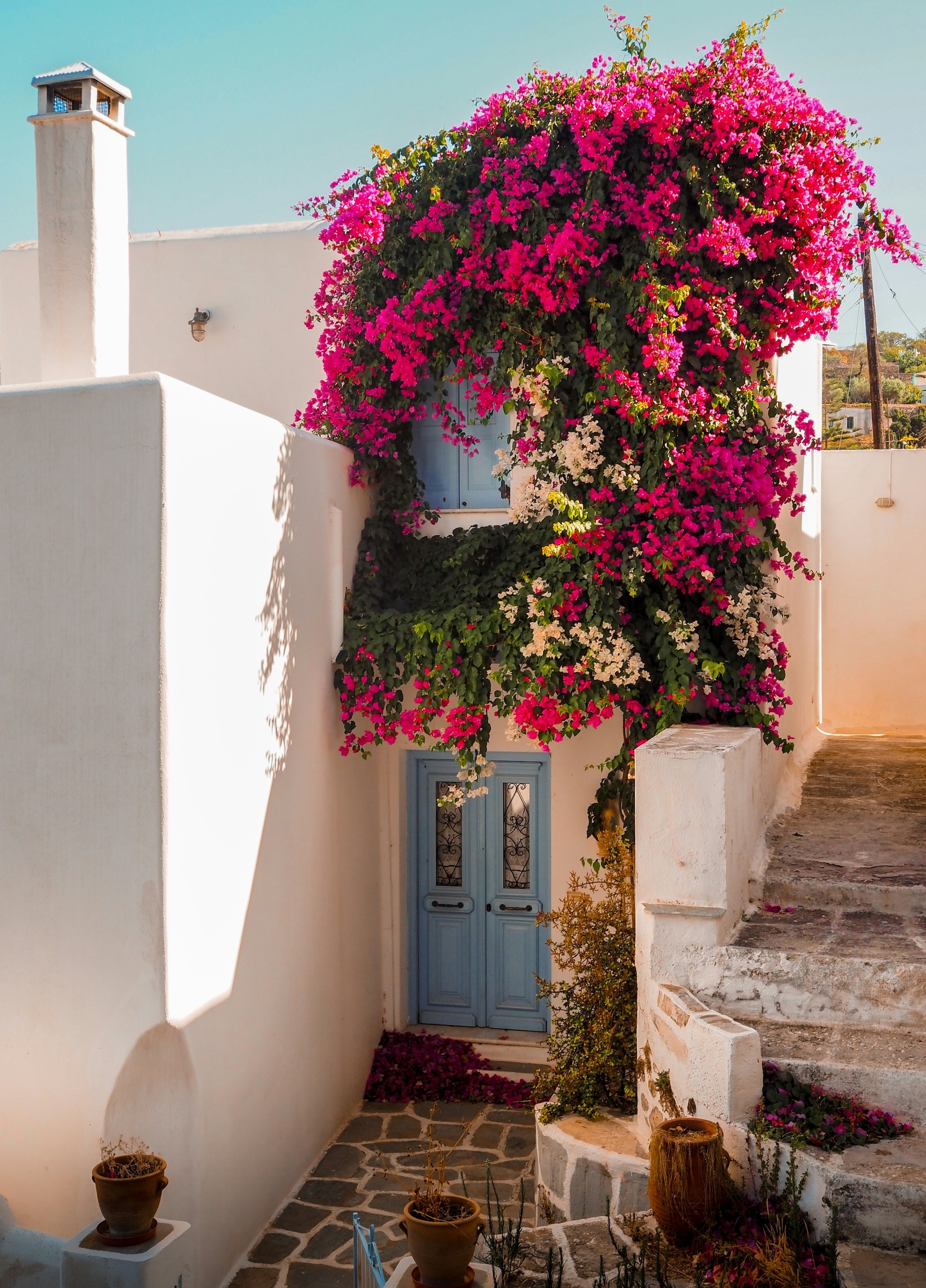 A home in a village in Paros, where the bouganvillia is blooming in front of the bright blue sky.