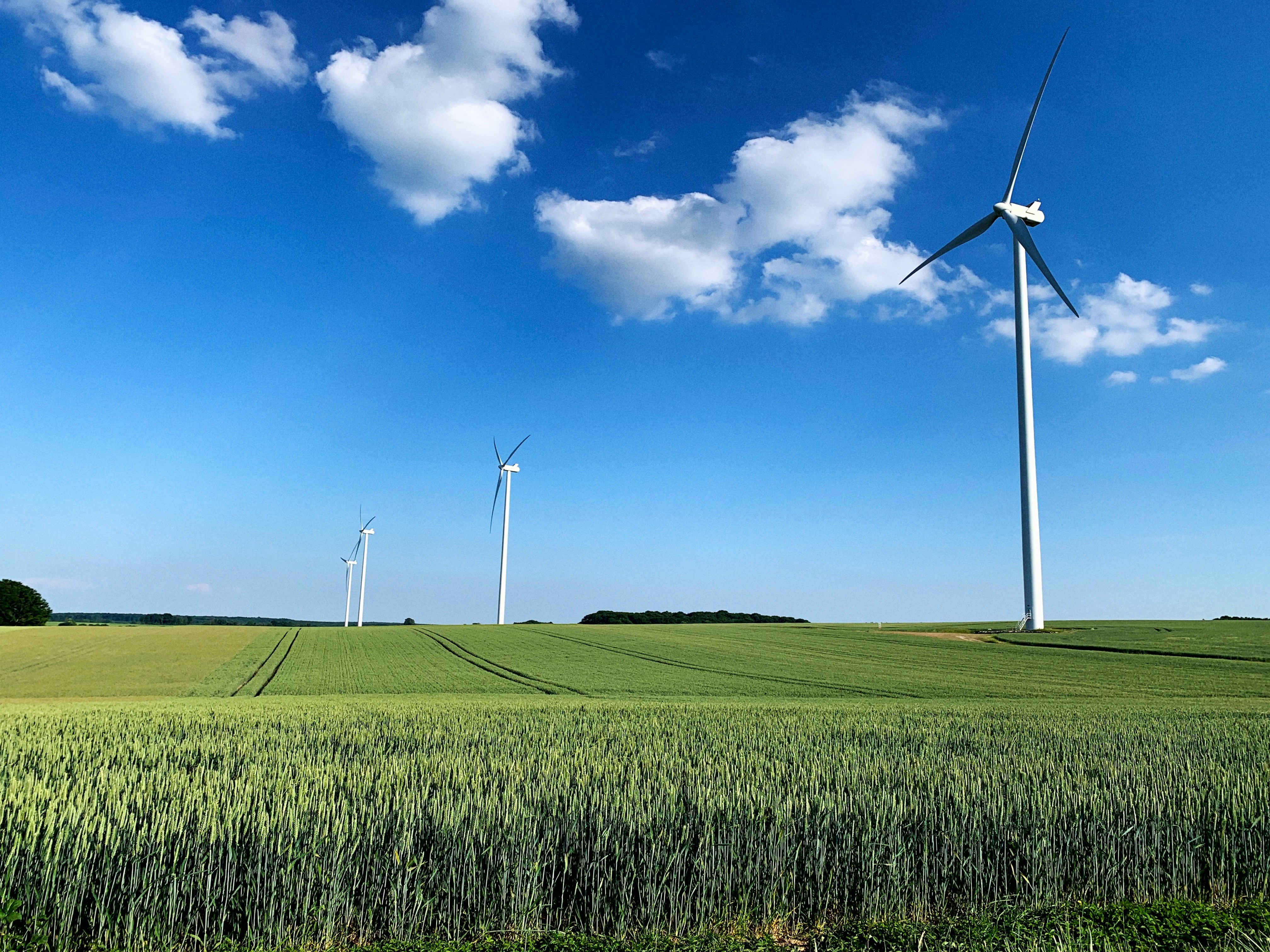 Wind turbines in a field with a clear blue sky