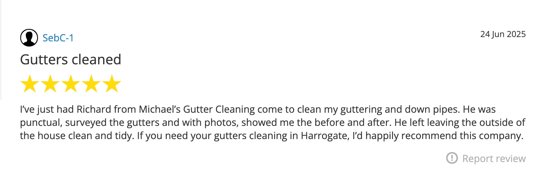 Five-star Google review for Hugo's gutter cleaning service