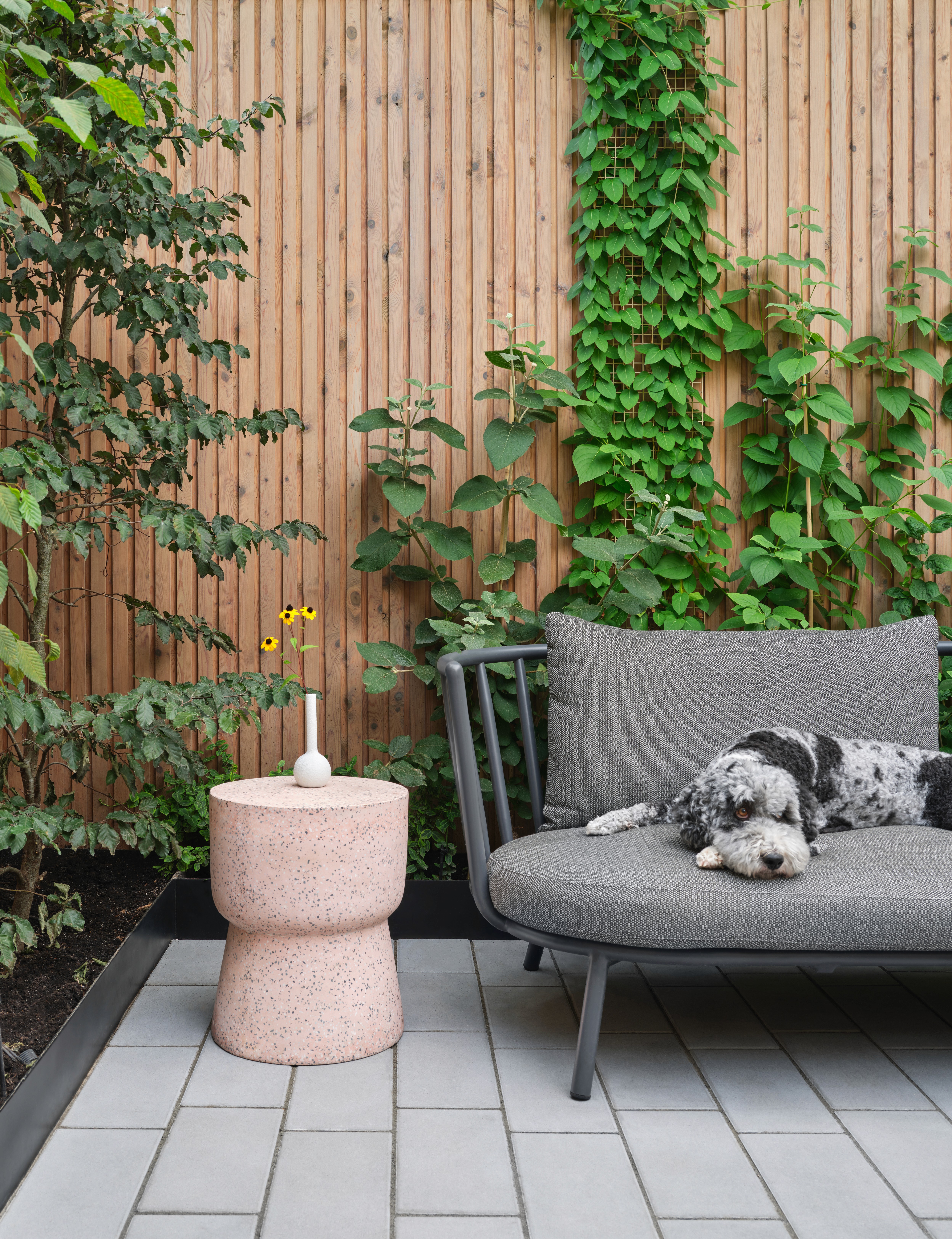 a patio with a couch and a table in it