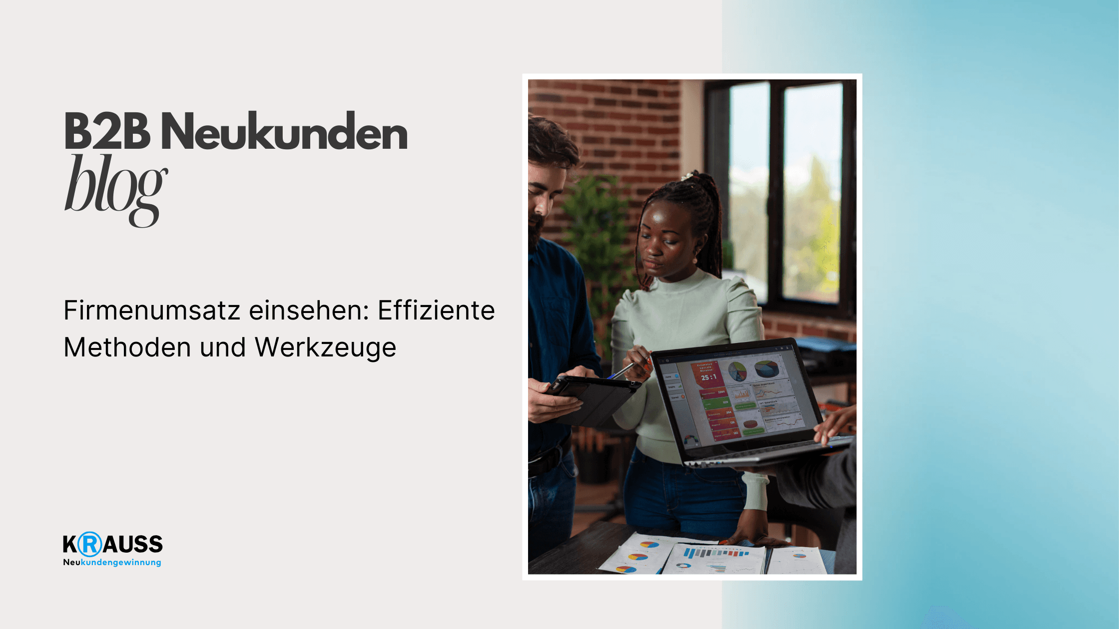 Firmenumsatz einsehen: Effiziente Methoden und Werkzeuge