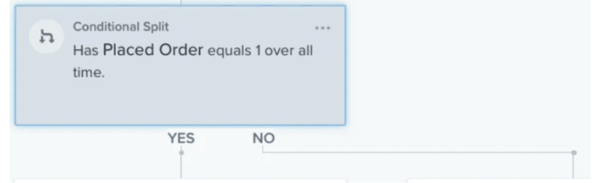 Conditional split: has placed order equals 1 overall time = no