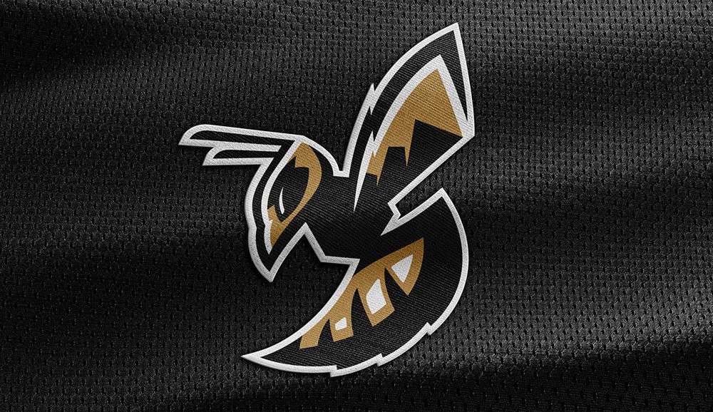 Example of a finished logo design.