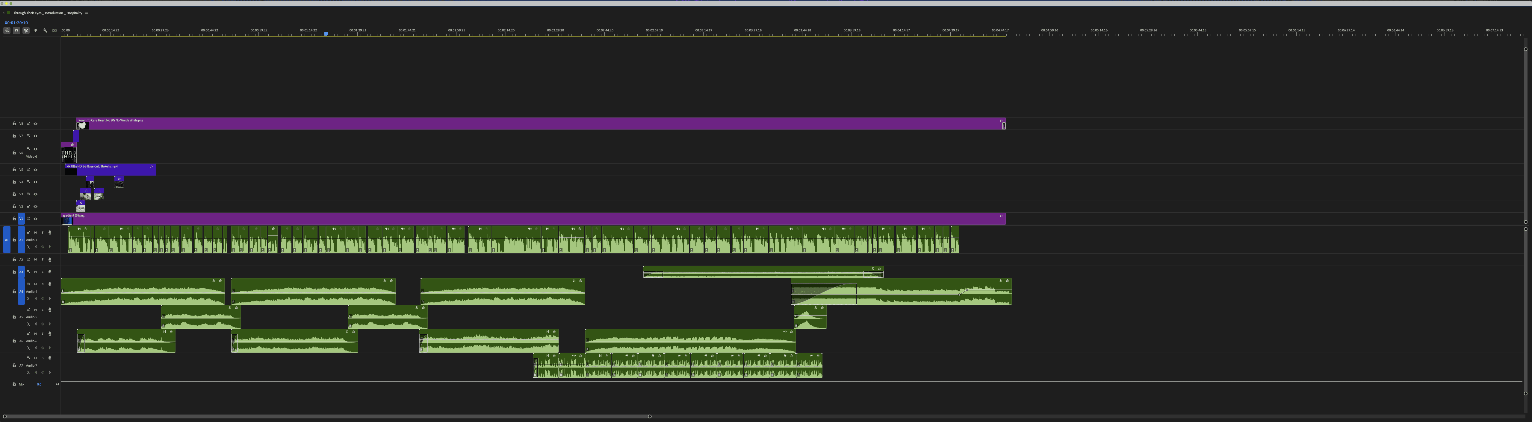 Through Their Eyes introduction video editing timeline in Adobe Premiere Pro