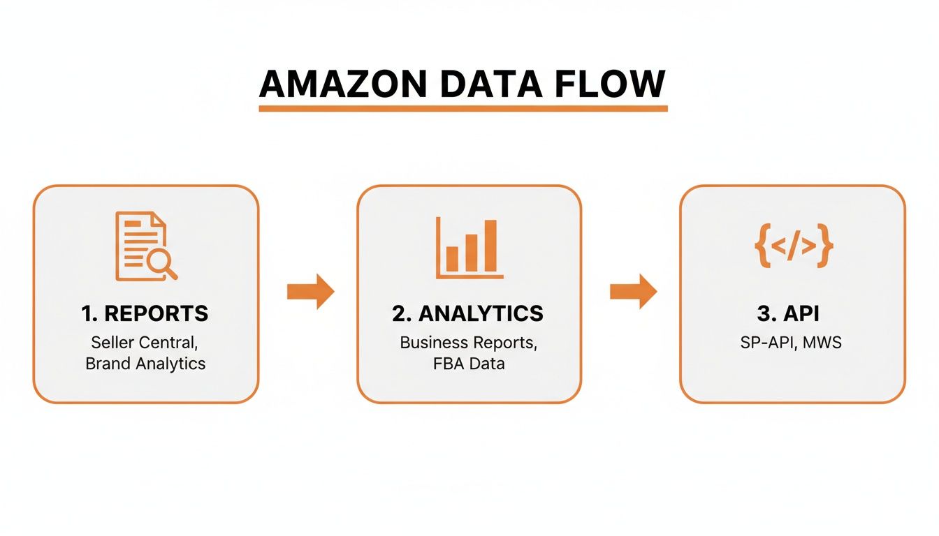 Diagram illustrating the Amazon data flow process from reports and analytics to API integration.