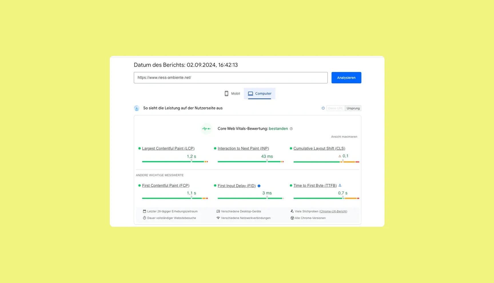 Screenshot vom Pagespeed-Bericht von Riess Ambiente