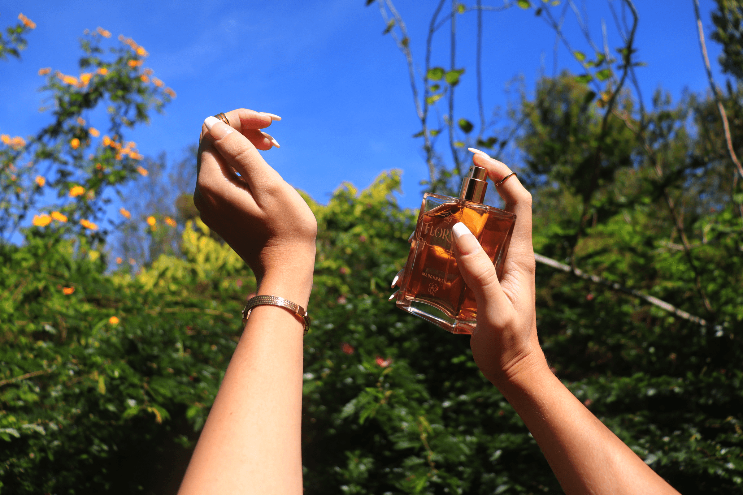 Project Gallery Image for 50% width of the screen #1