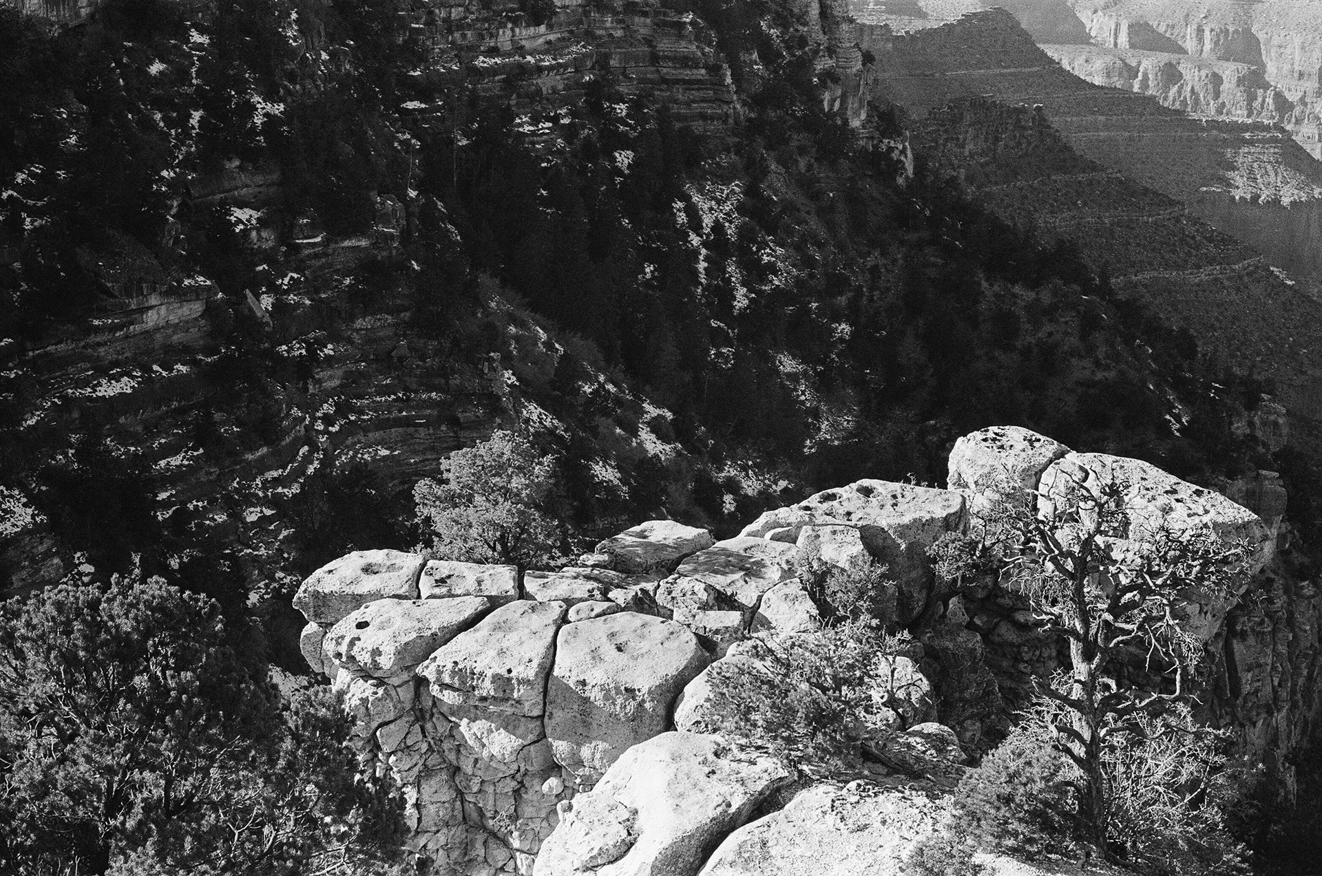 Film Photography — project preview