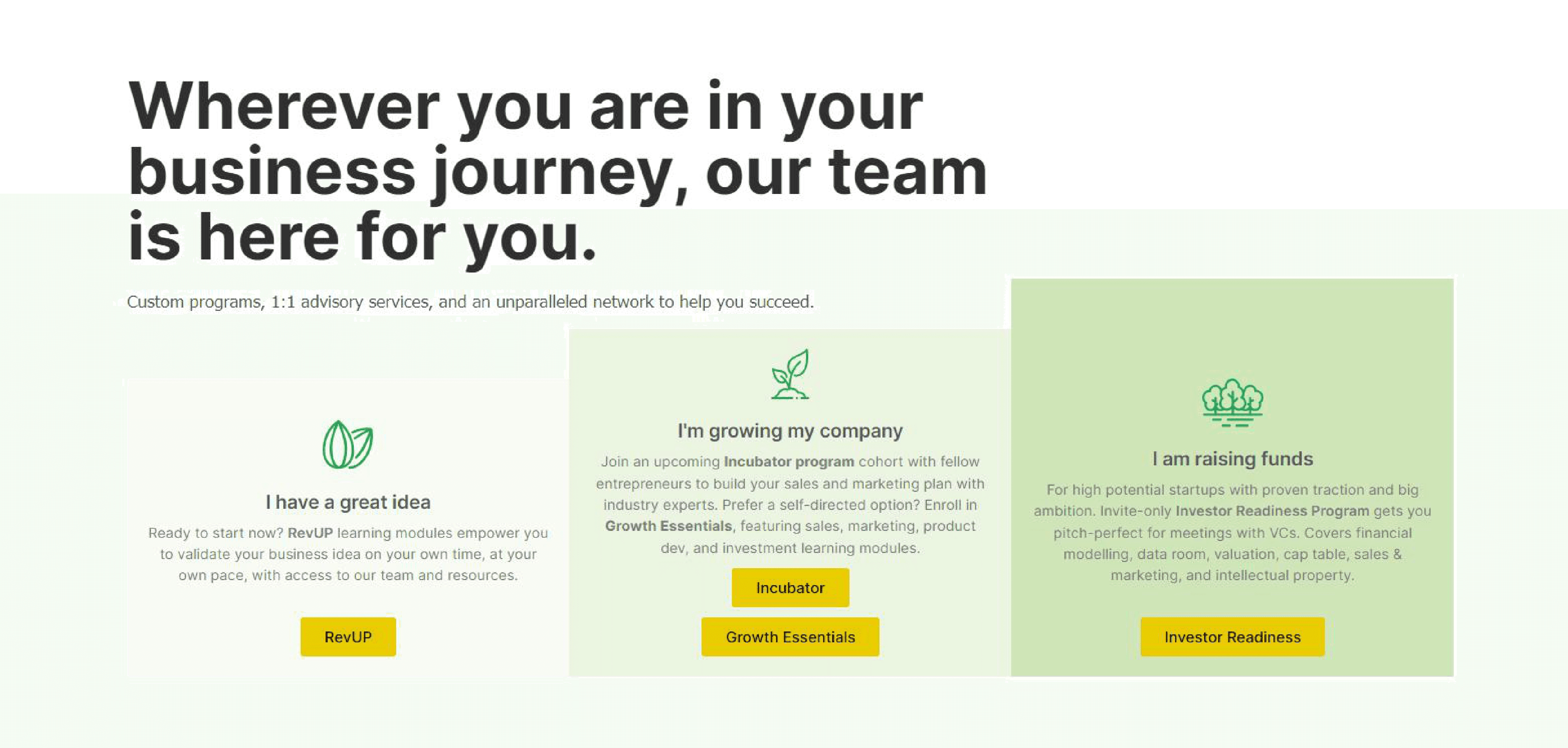 Yellow bowl filled with lemons on bright yellow background for lifestyle branding