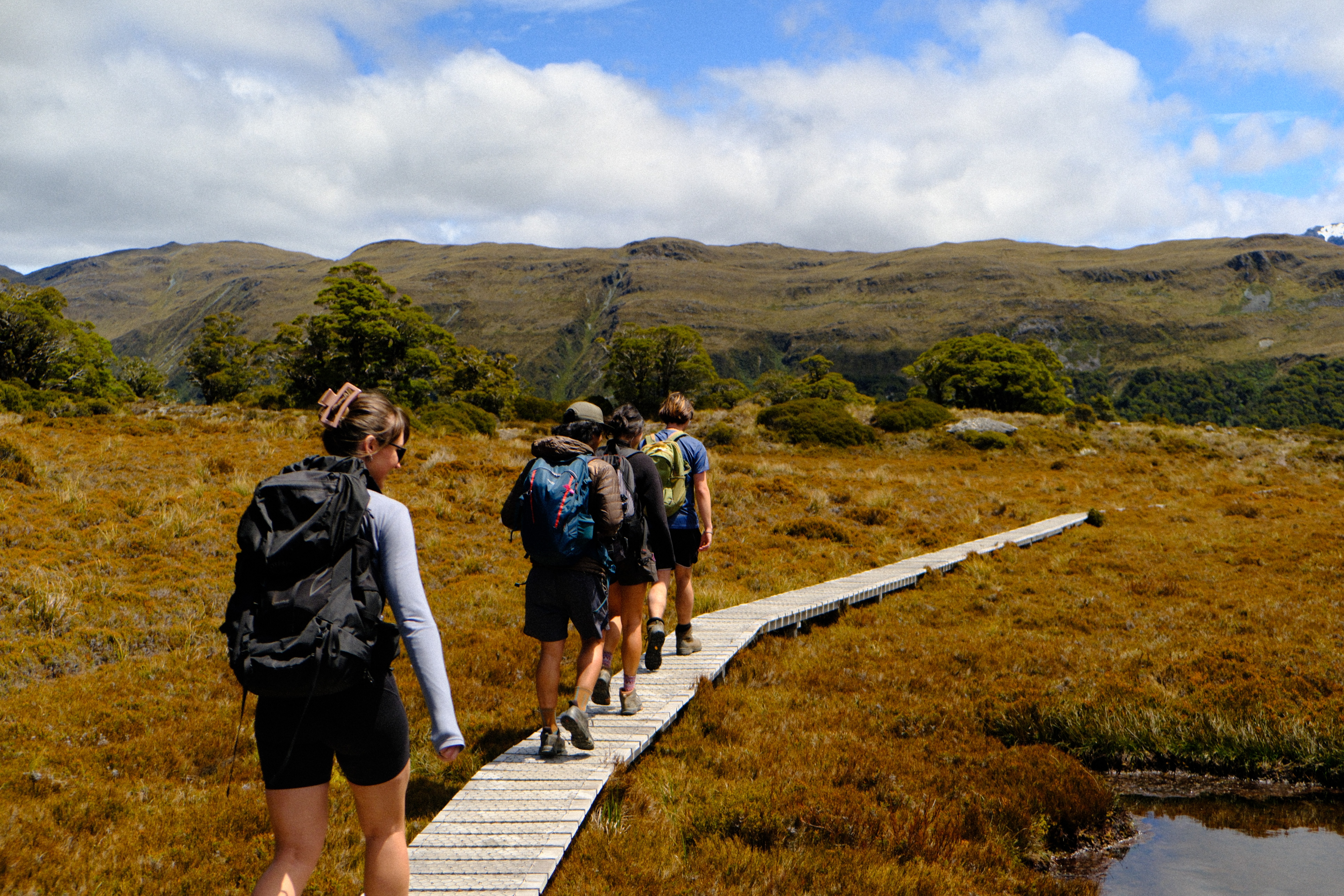 Three hikers following a boardwalk through open tussock country