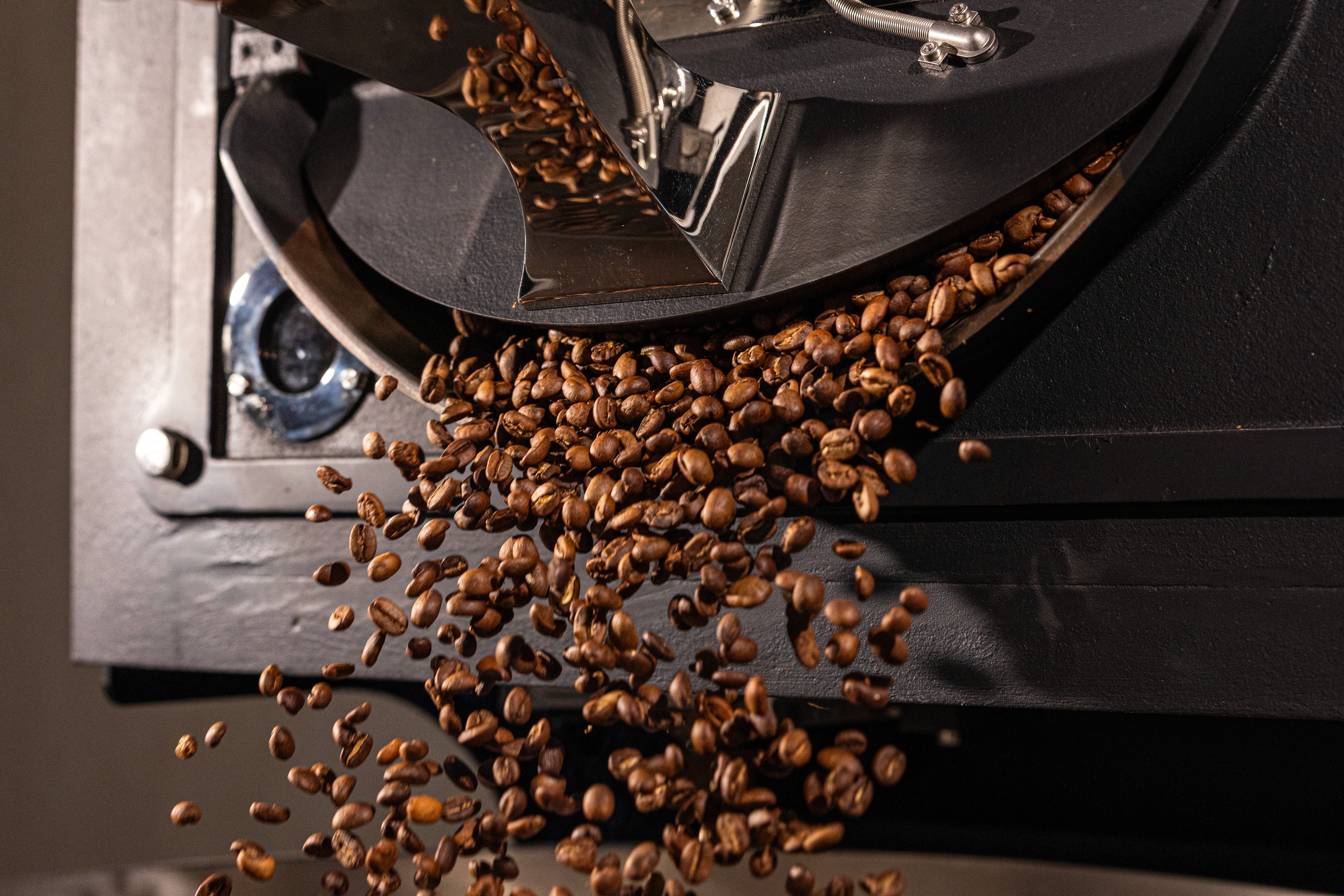 Fabrics and upholstery Section