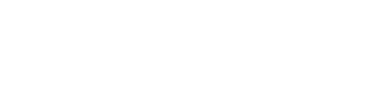 Client Icon