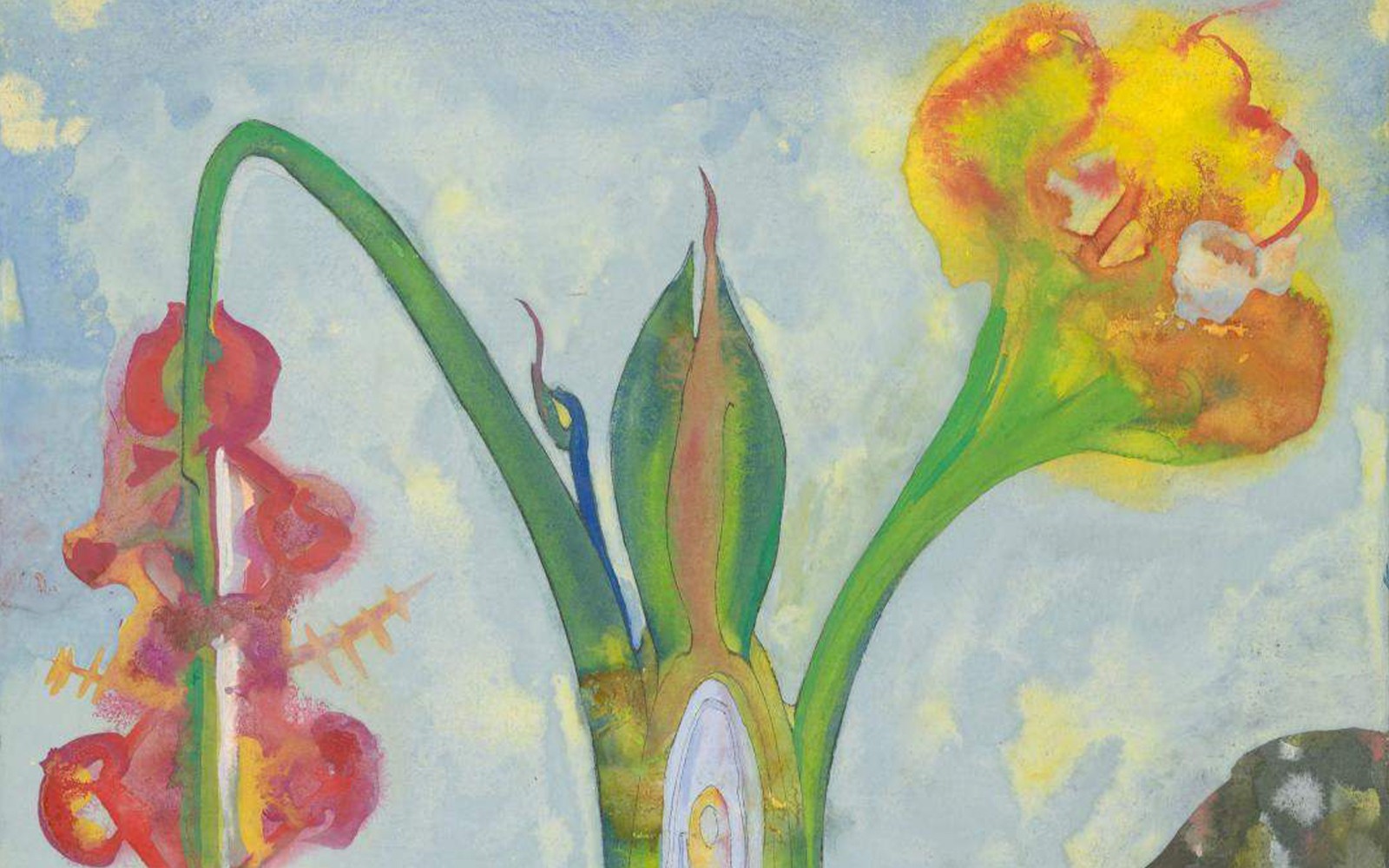 伦敦泰特英国美术馆展览，展示伊瑟尔·科尔库恩的作品《地球过程》。