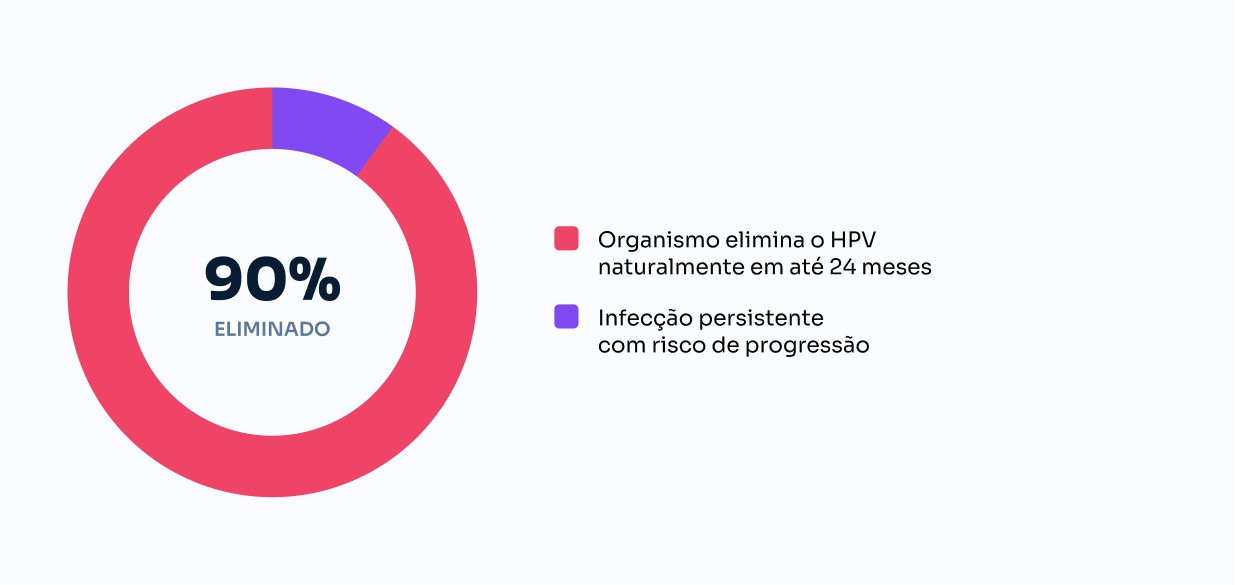 O que acontece com o HPV no organismo