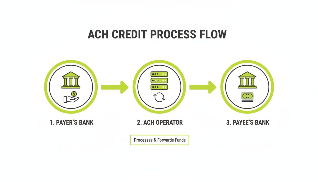 Diagram showing the ACH credit process flow from Payer's Bank, through the ACH Operator, to Payee's Bank.