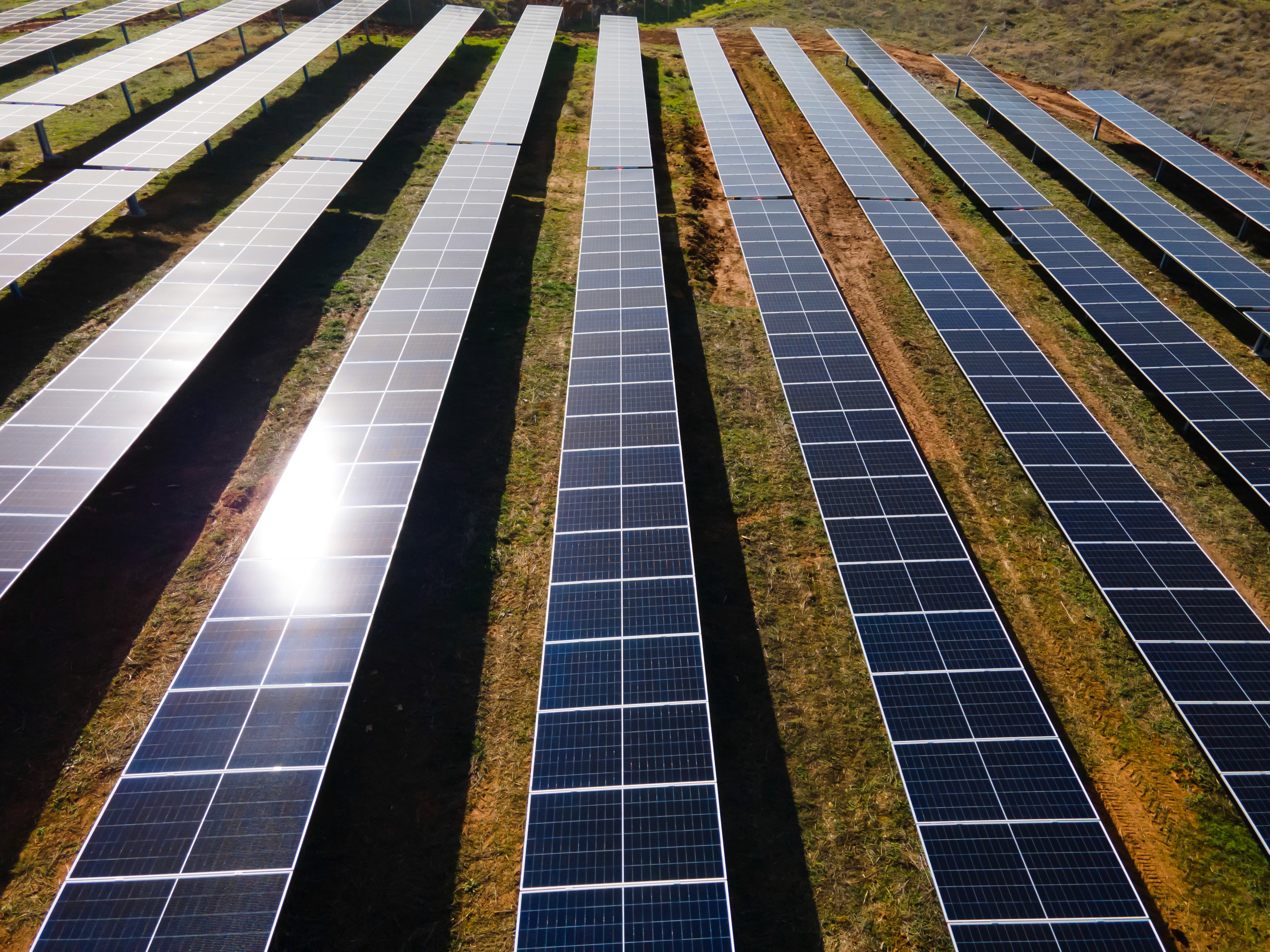 Parallel rows of ground-mounted photovoltaic panels highlighting scale and layout of solar power plant